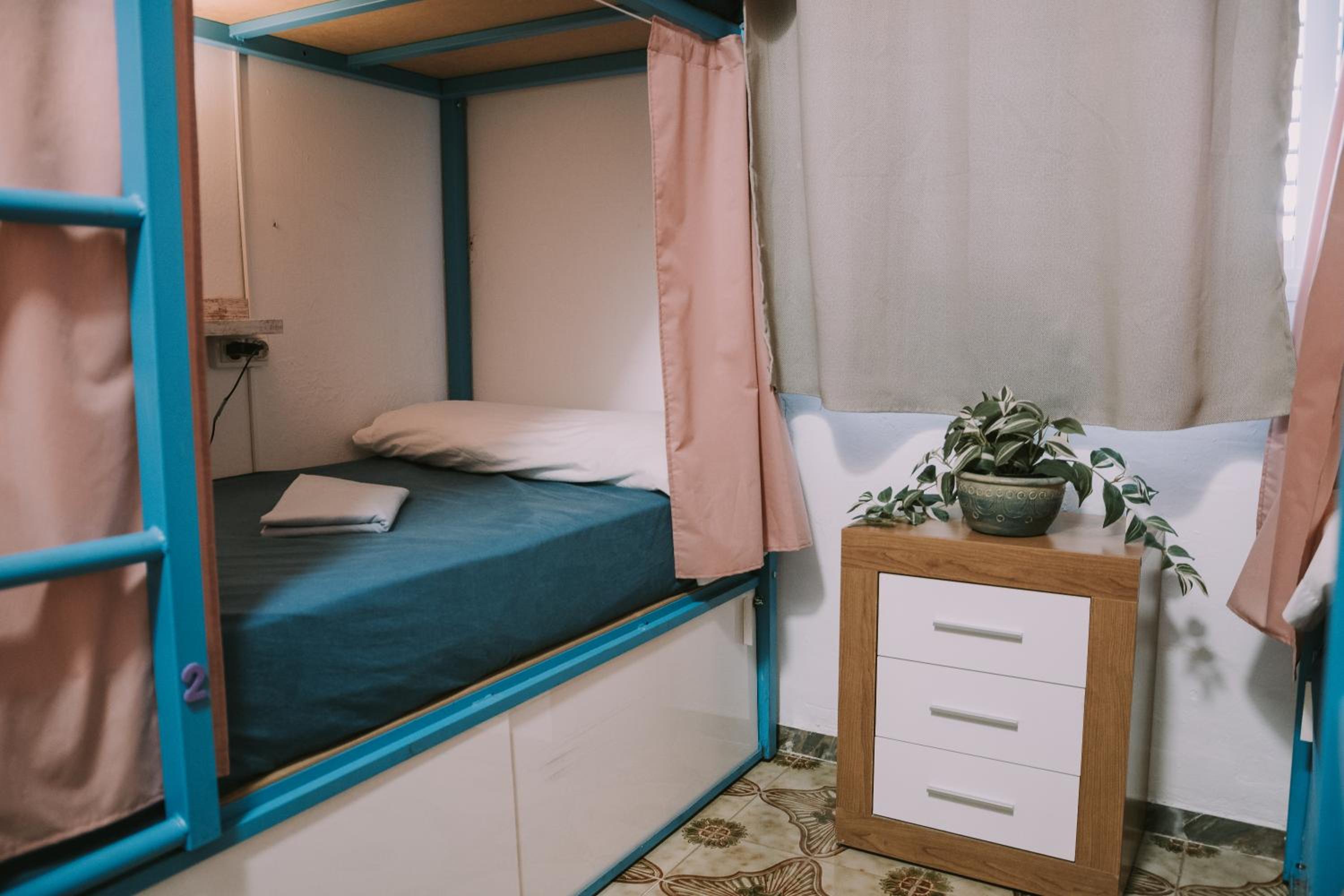 Bed in 4-Bed Mixed Dormitory Room
