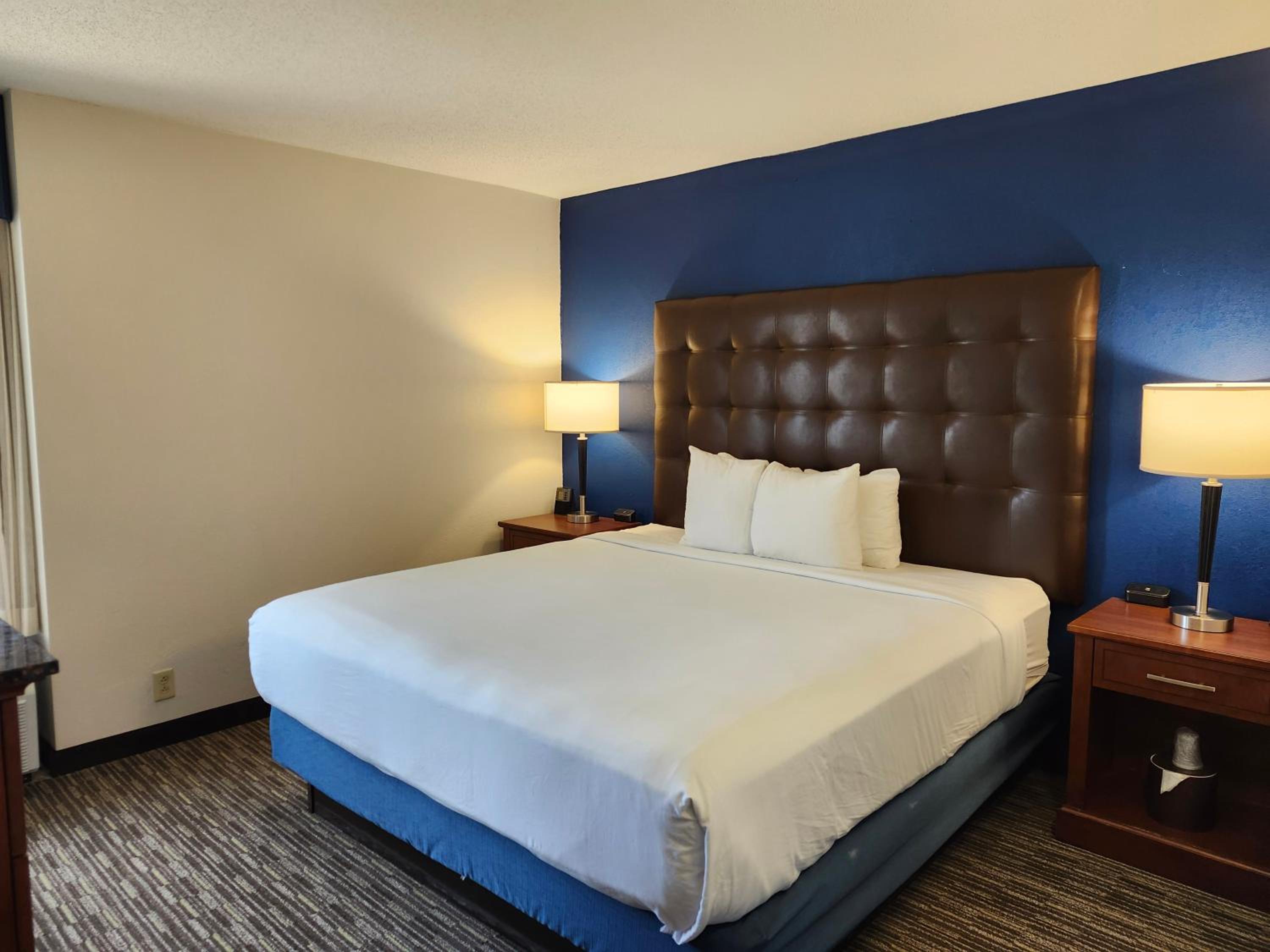 One-Bedroom King Suite - Non-Smoking - Photo 5
