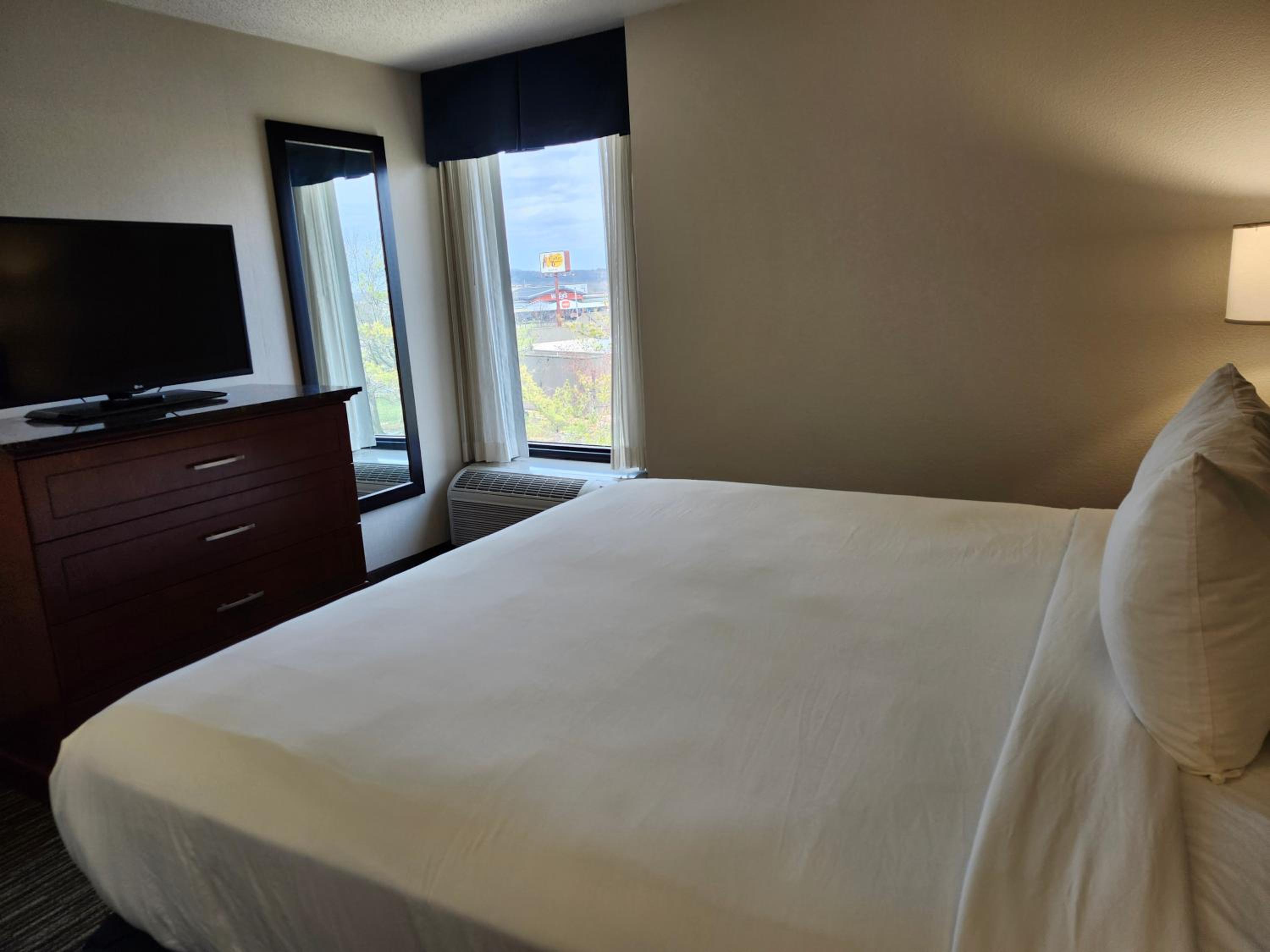 One-Bedroom King Suite - Non-Smoking - Photo 6