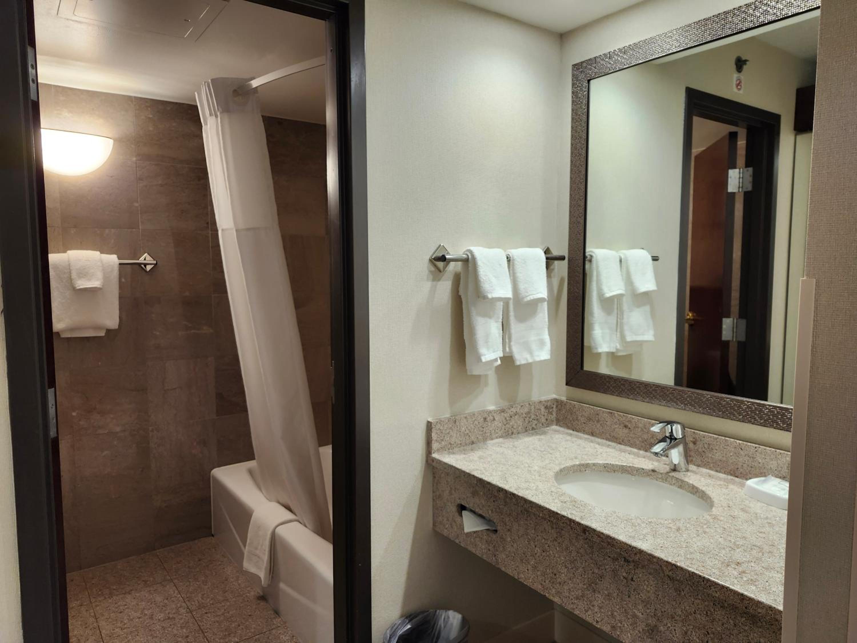 Deluxe King Room - Non-Smoking - Photo 4