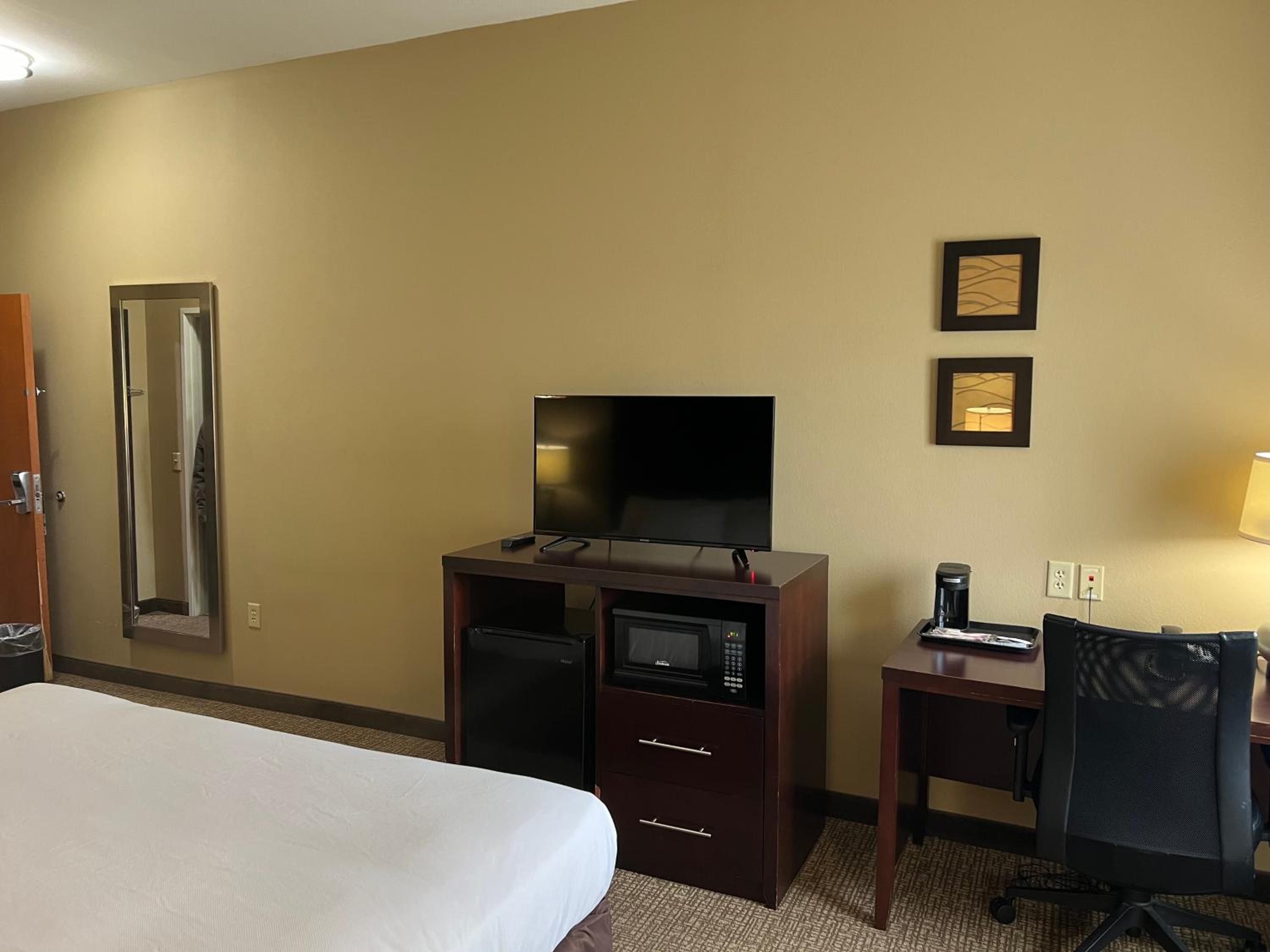 King Room with Mobility Access and Bathtub with Grab Bars, Non-Smoking photo 2
