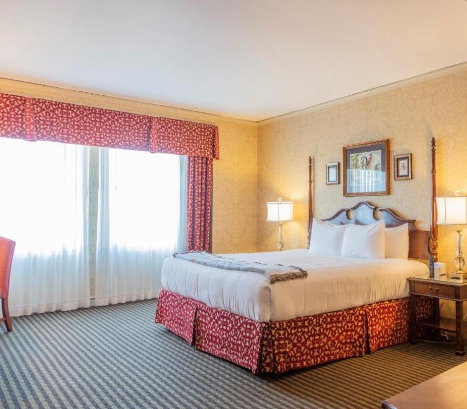 Deluxe Queen Room - Photo 1