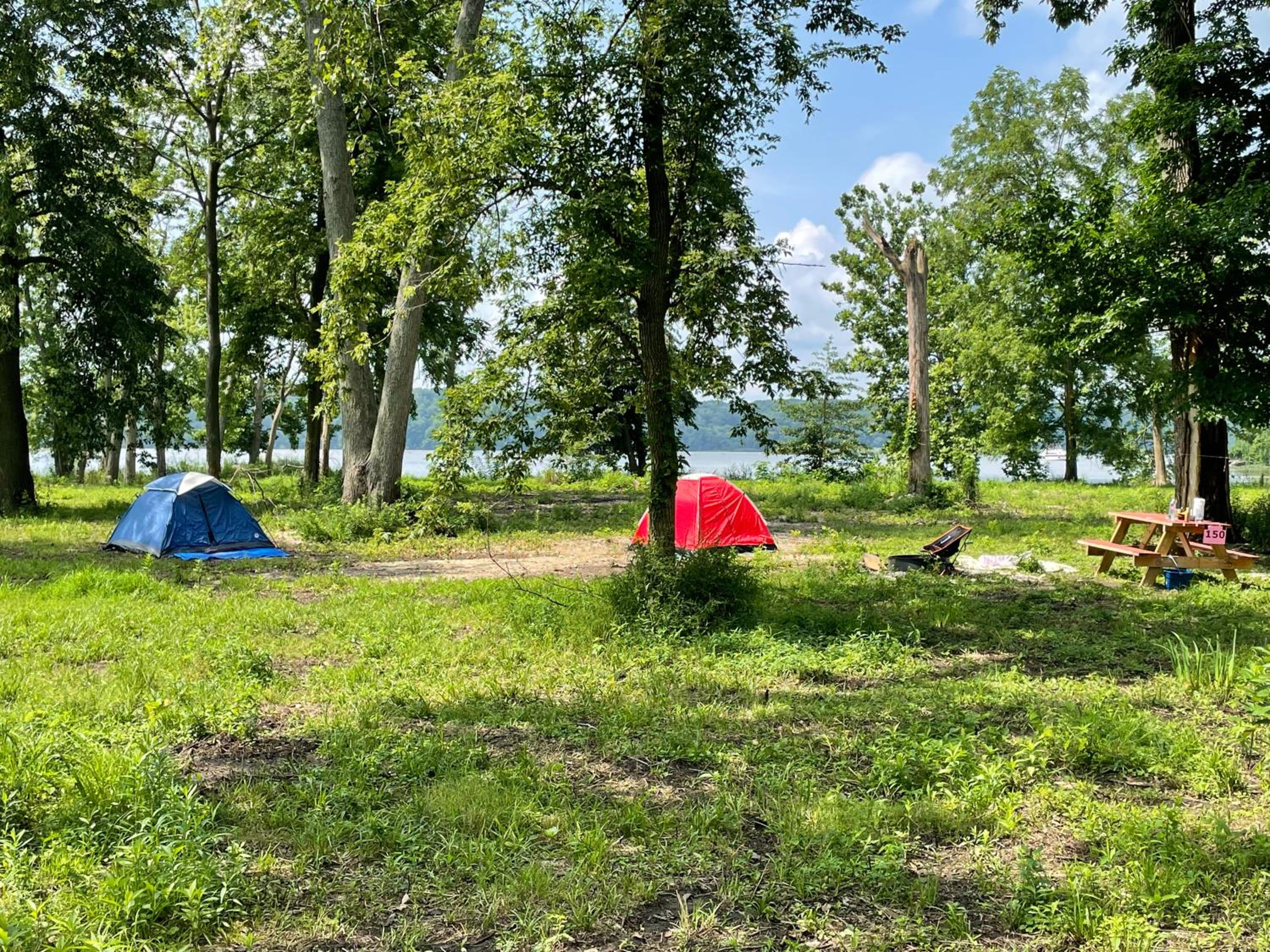 Empty Lot photo 3