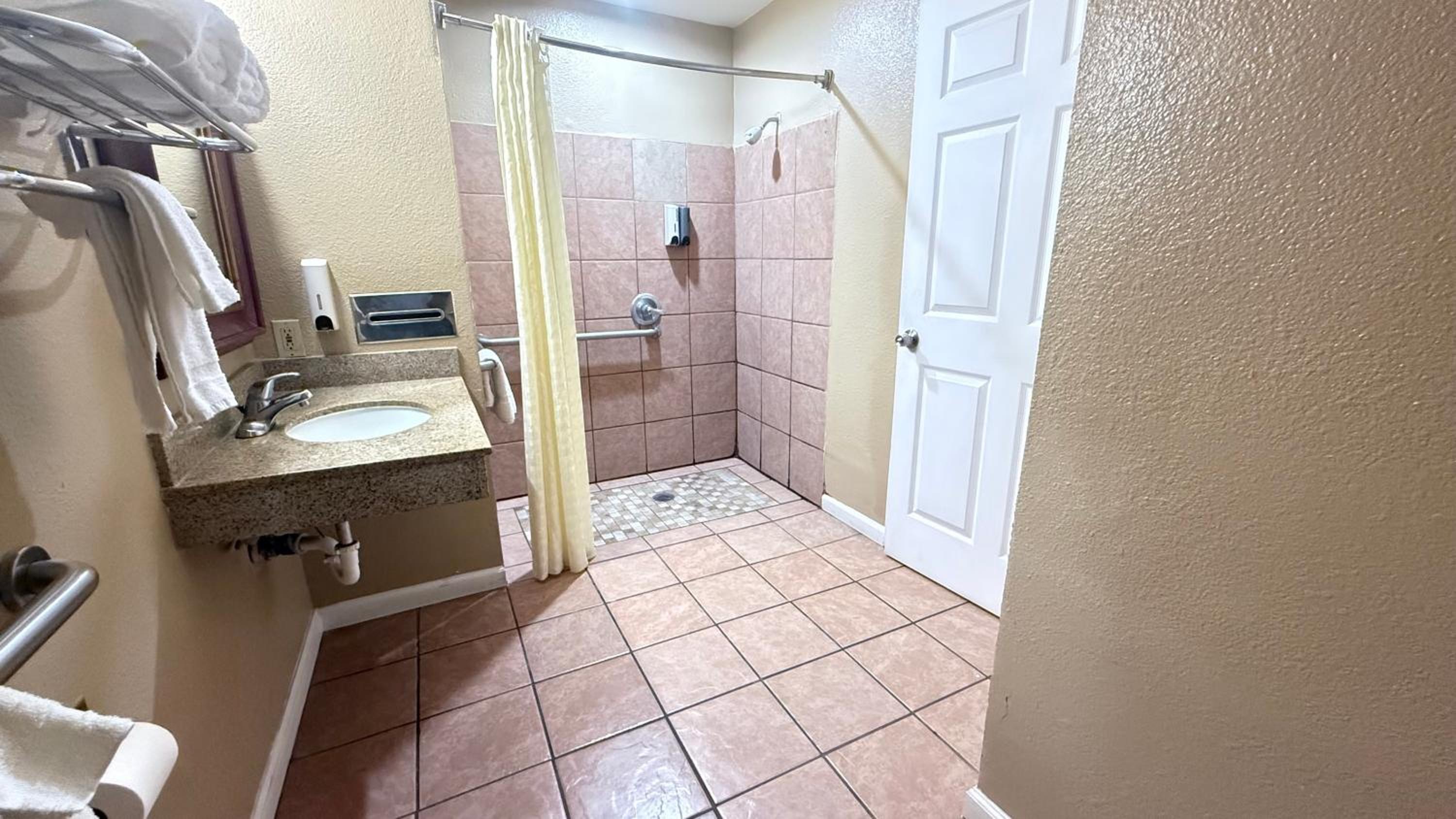 King Room with Roll-In Shower - Disability Access - Photo 8