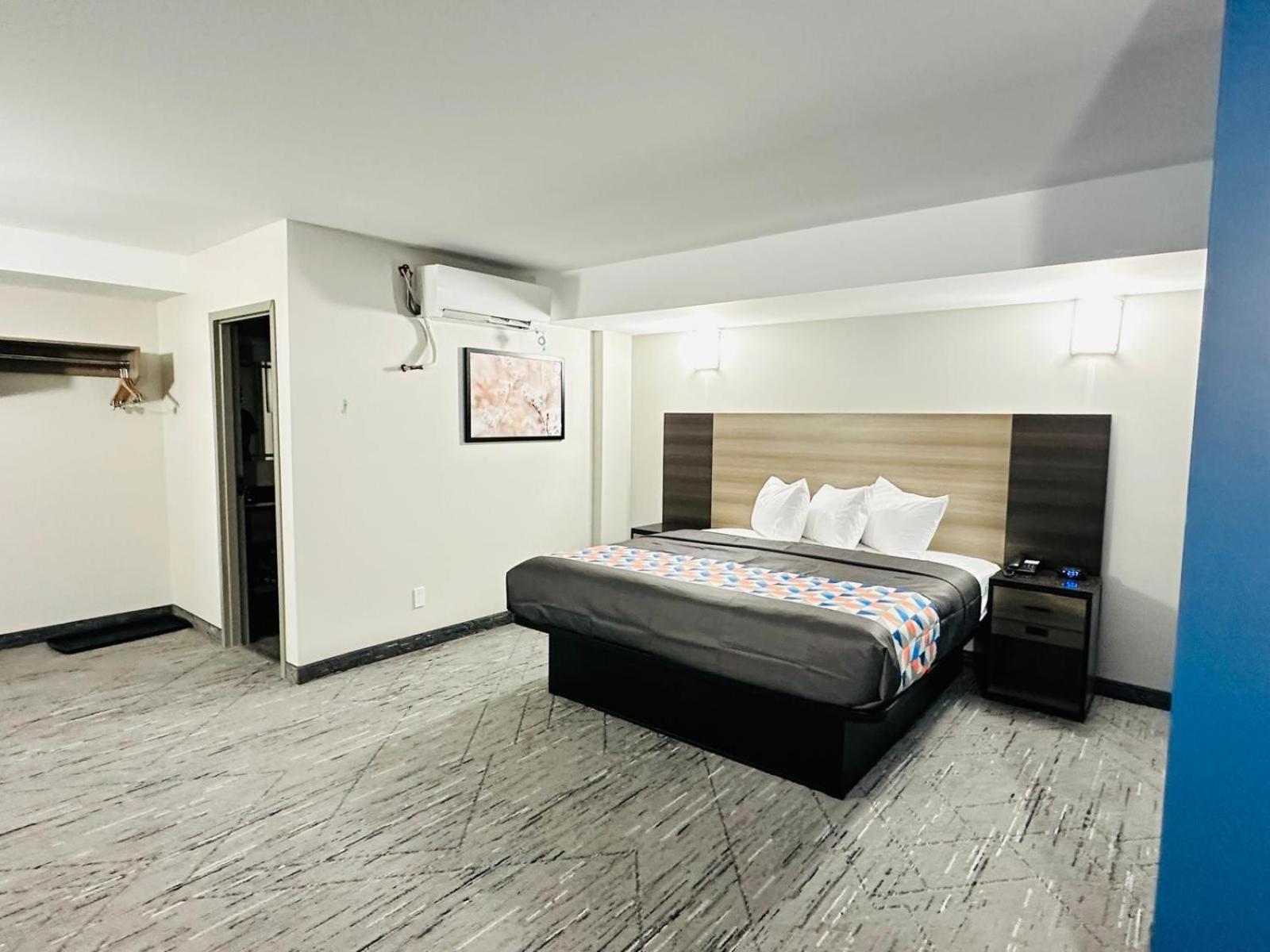 Standard Basement Room, 1 King Bed photo 2