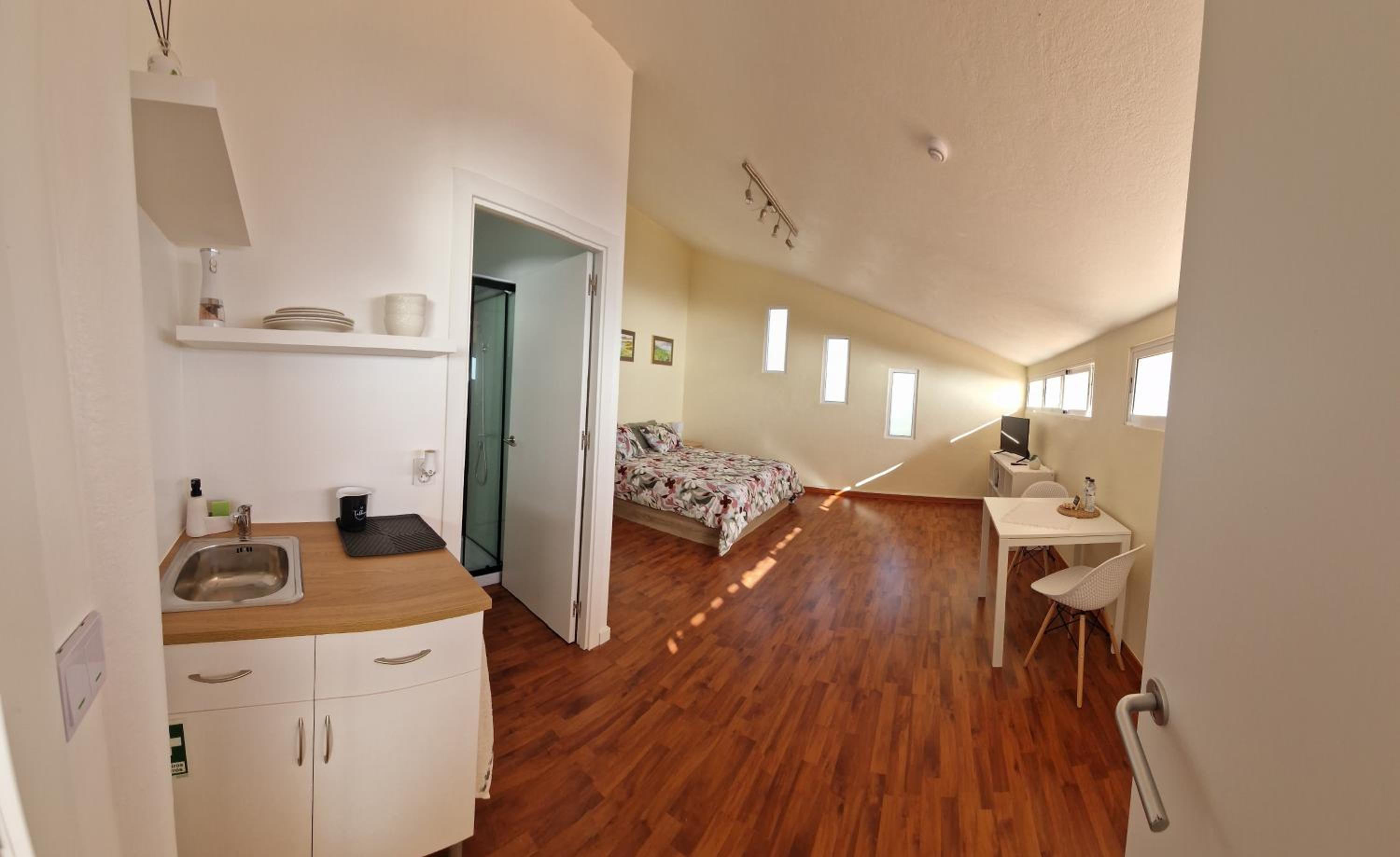 Studio with Sea View photo 2