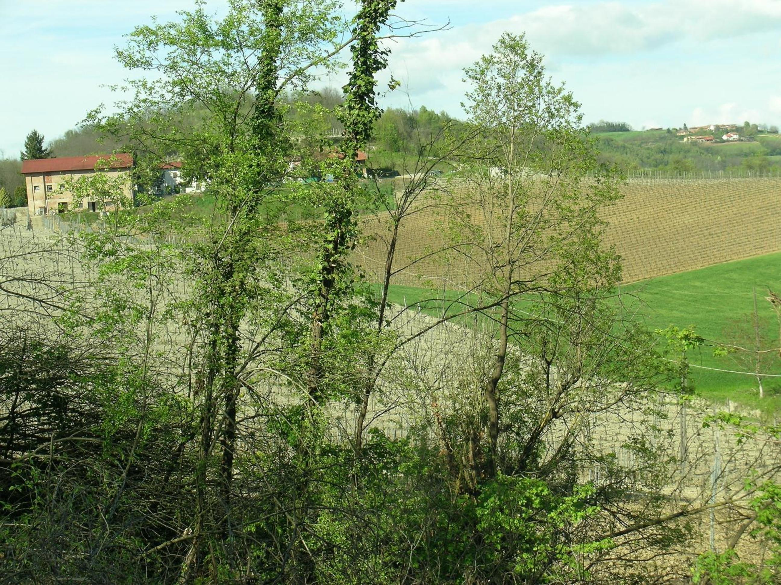 Superior Double or Twin Room with Garden View - Photo 6
