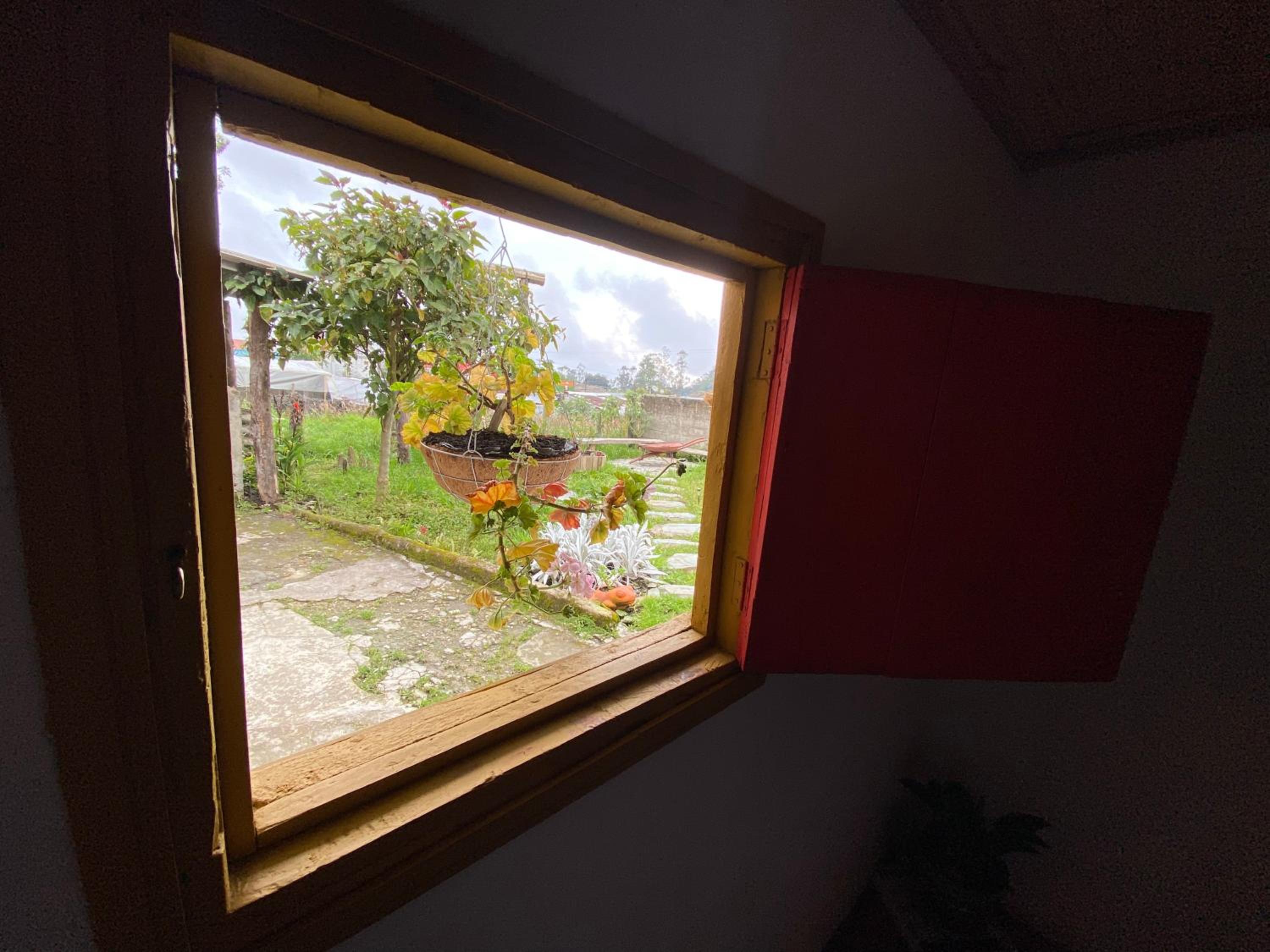 Double Room with Park View
