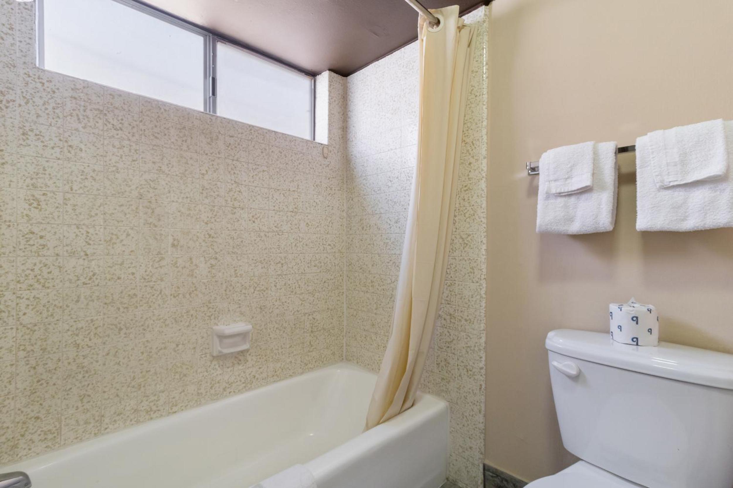 Deluxe Double Room with Extra Bed - Photo 9