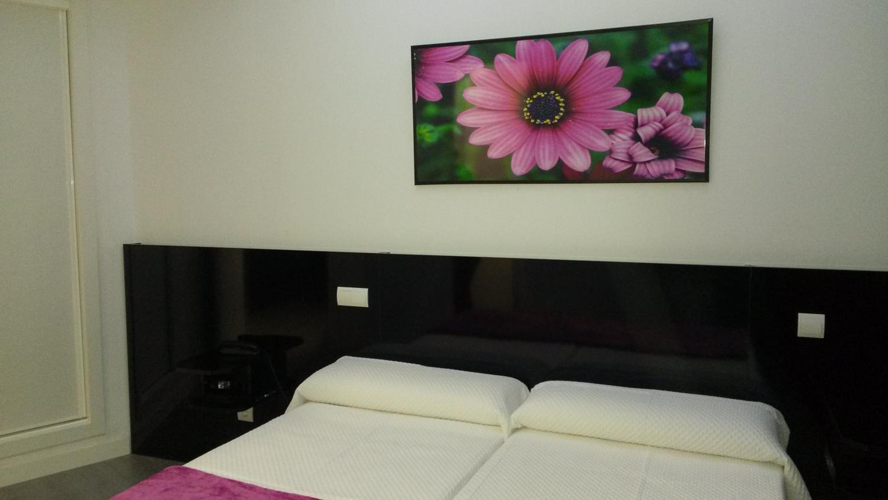 Habitación Individual