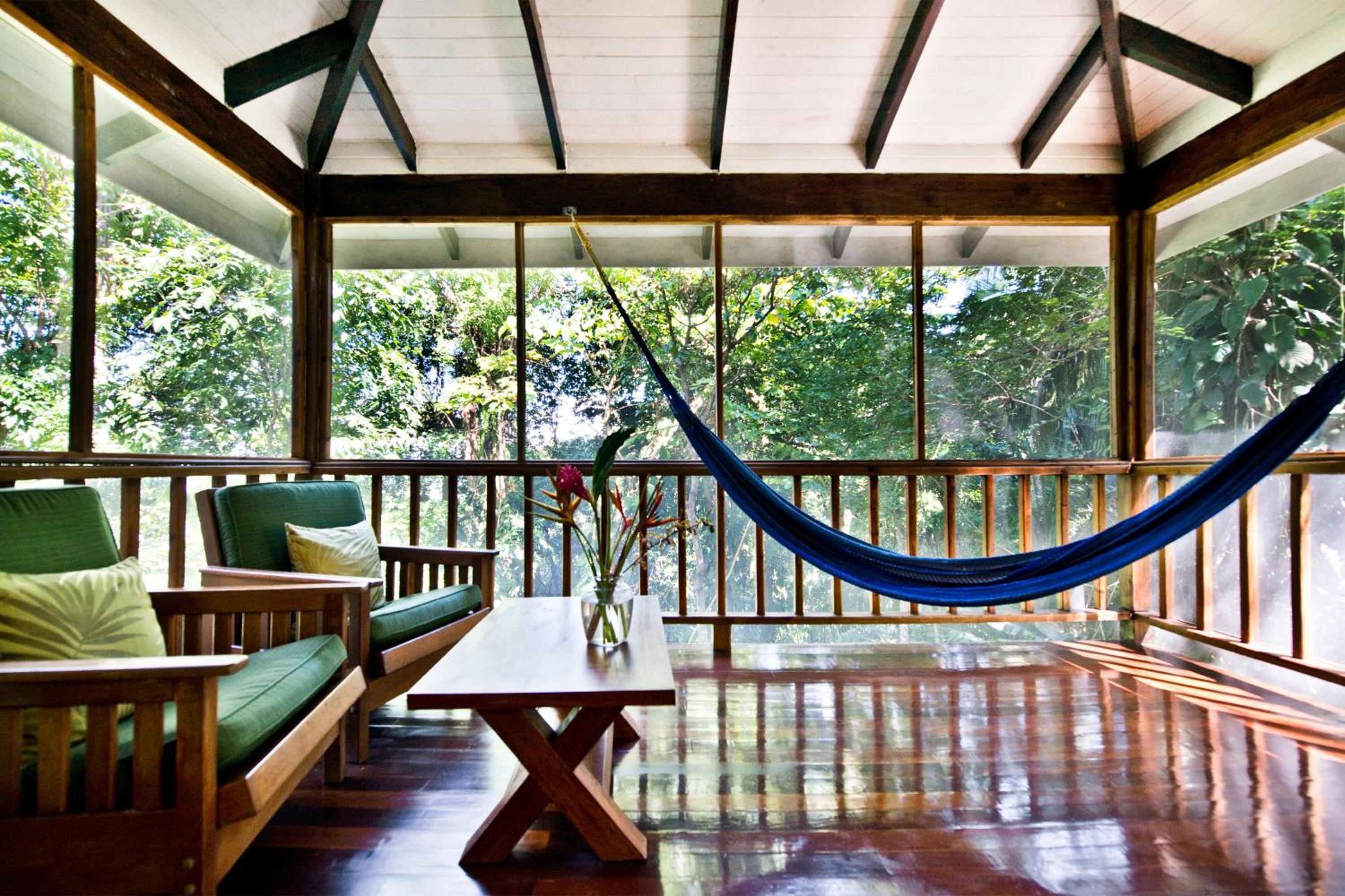 Double Queen Jungle Suite