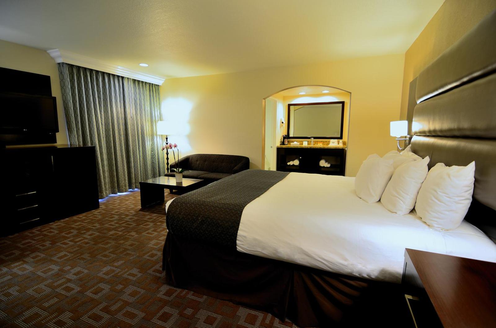 Deluxe King Suite - Non-Smoking - Photo 1
