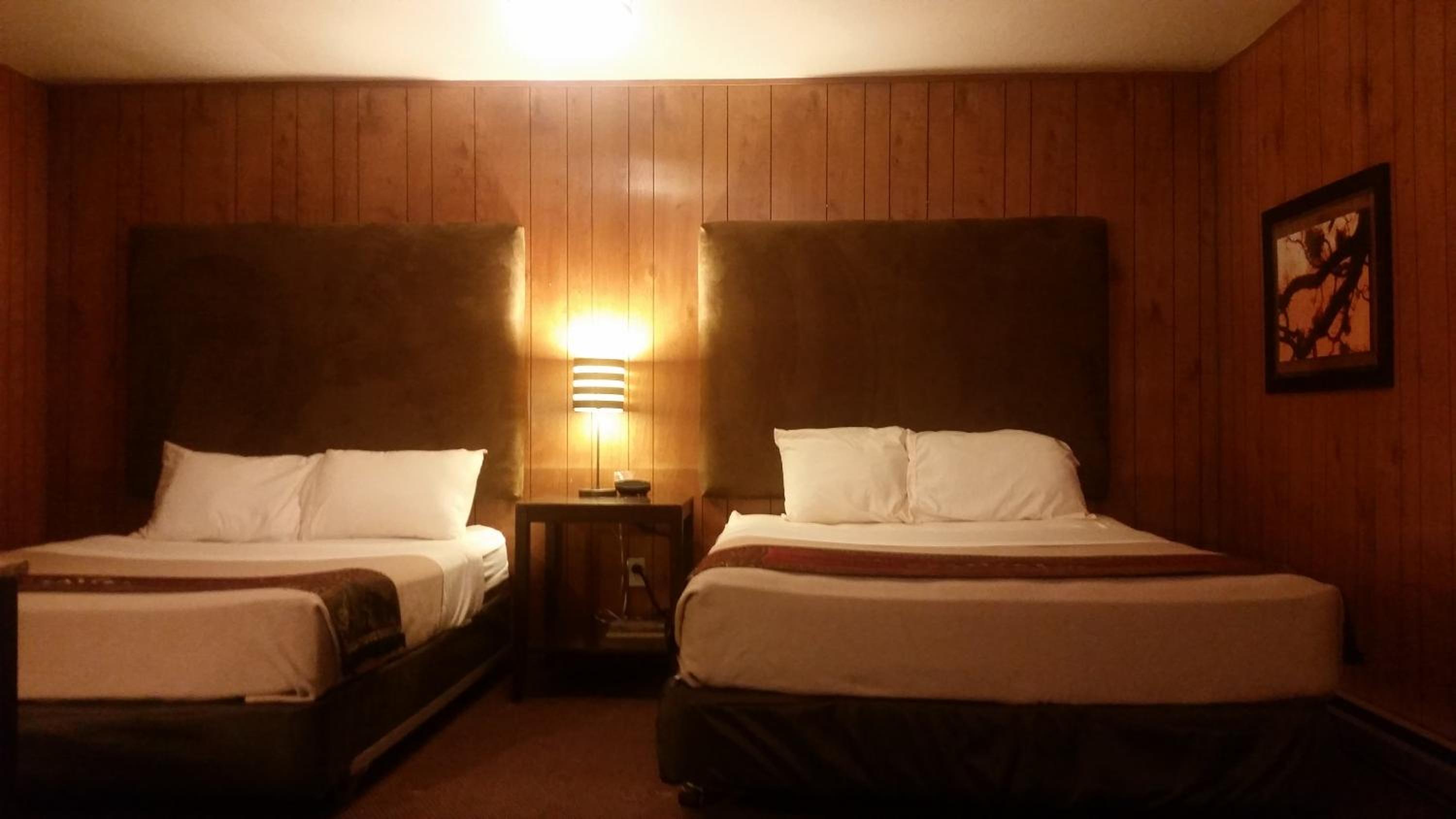 Mini Suite - Photo 2