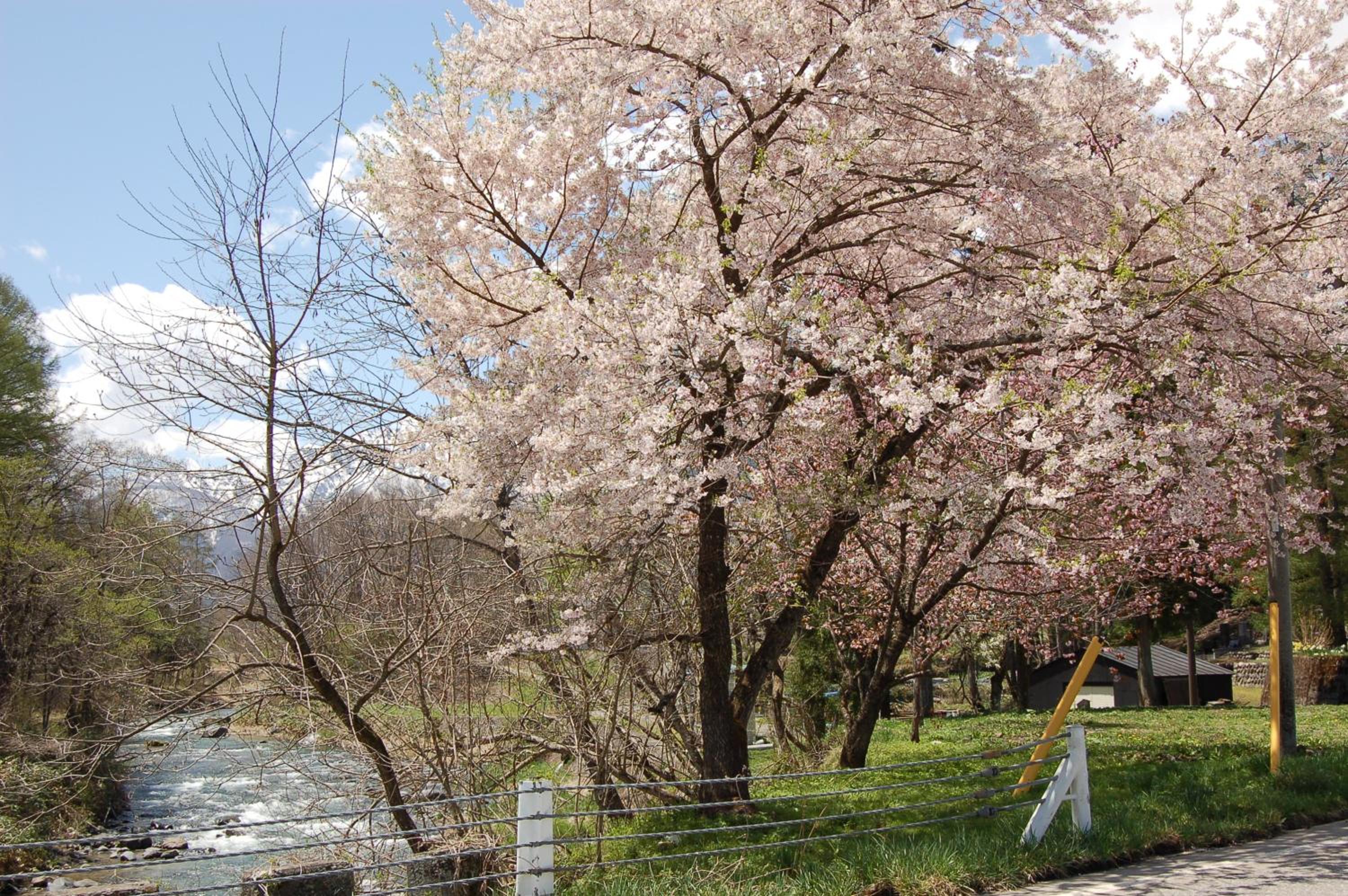 Vacation Home - Photo 22