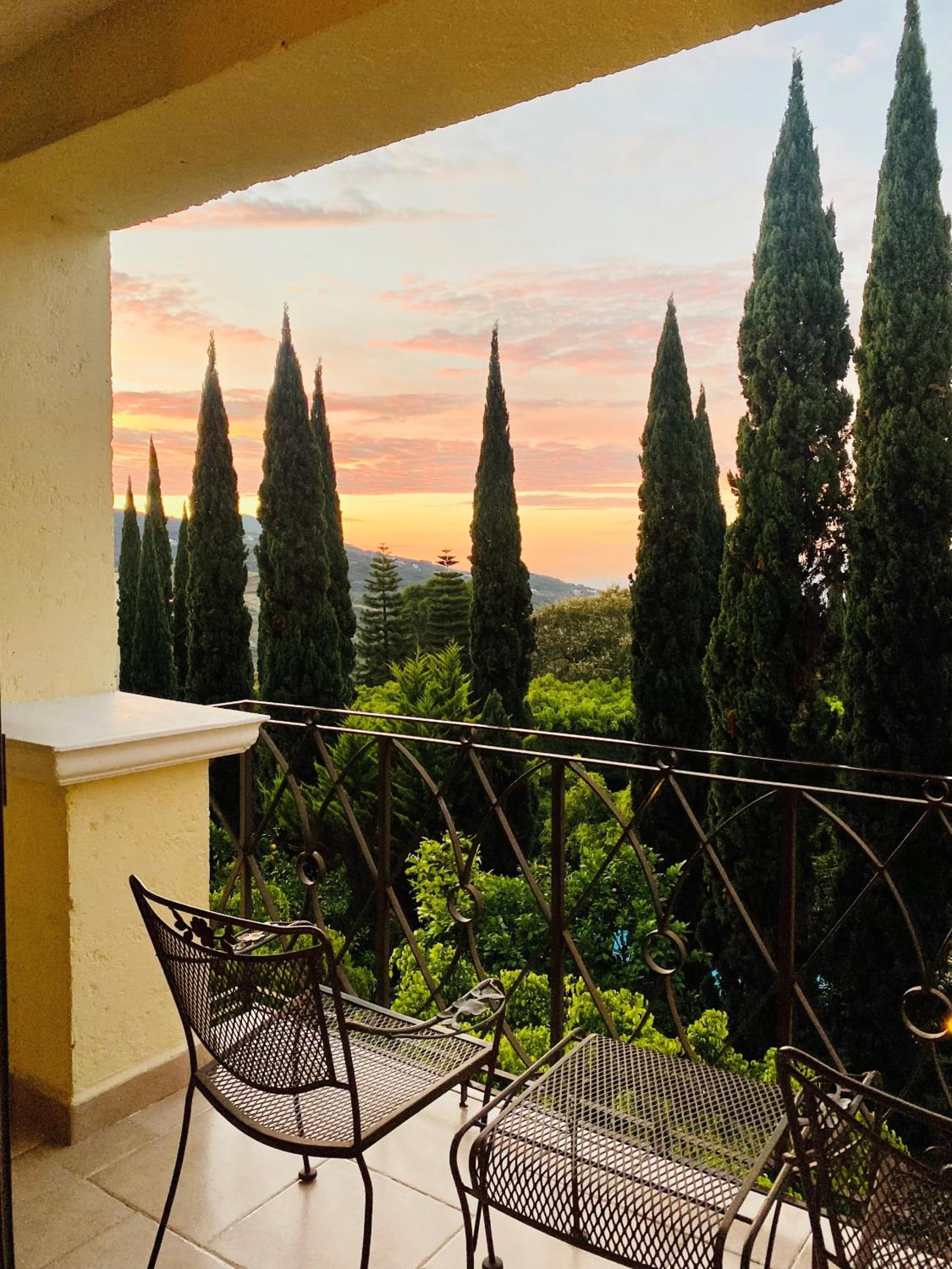 Terrace, 1 King - Photo 2
