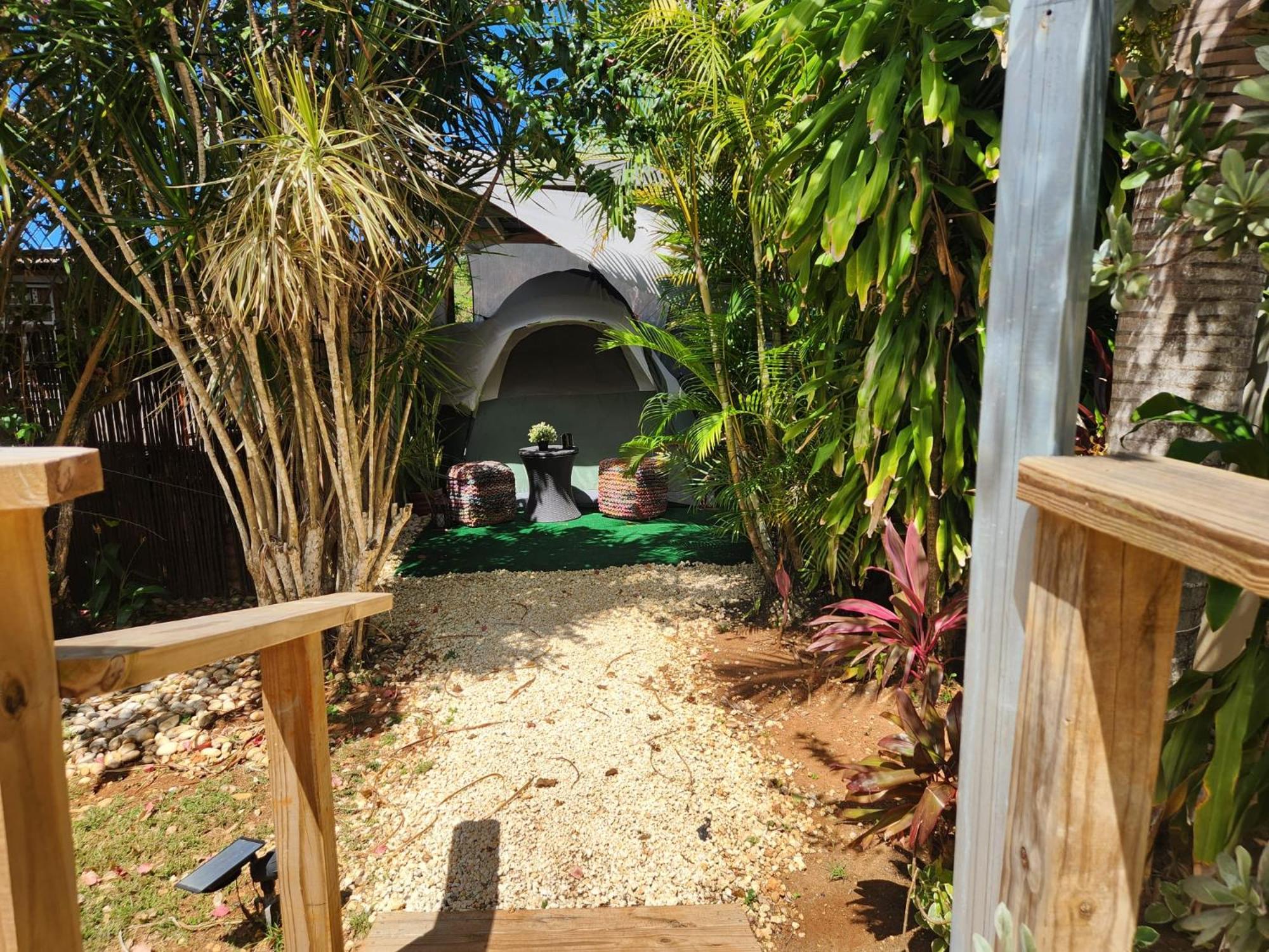Tent photo 1