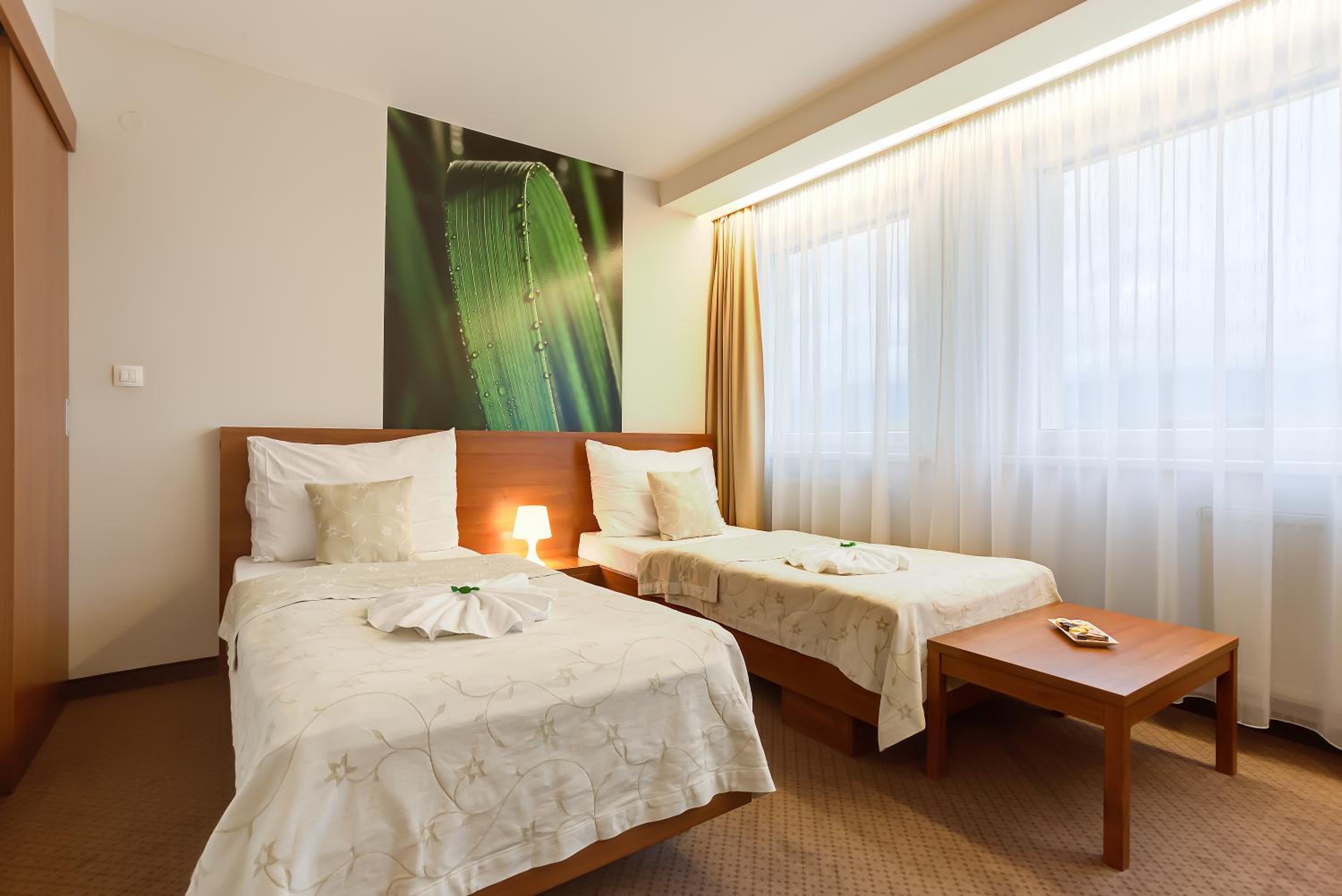 Twin Room photo 3