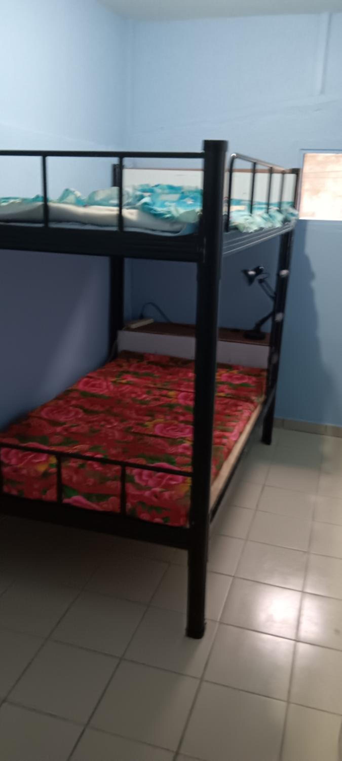 Single Bed in Mixed Dormitory Room photo 2