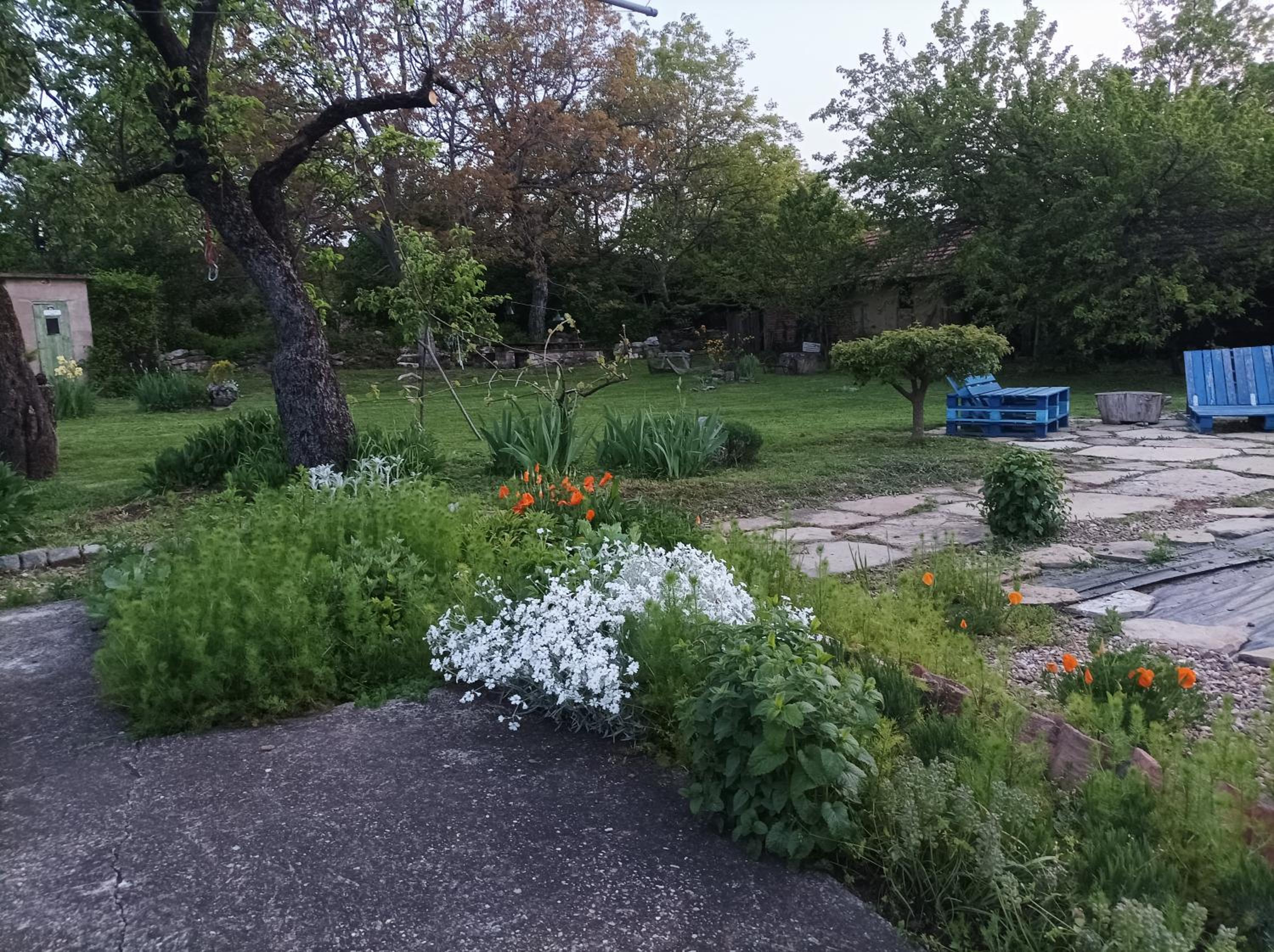Vacation Home photo 3