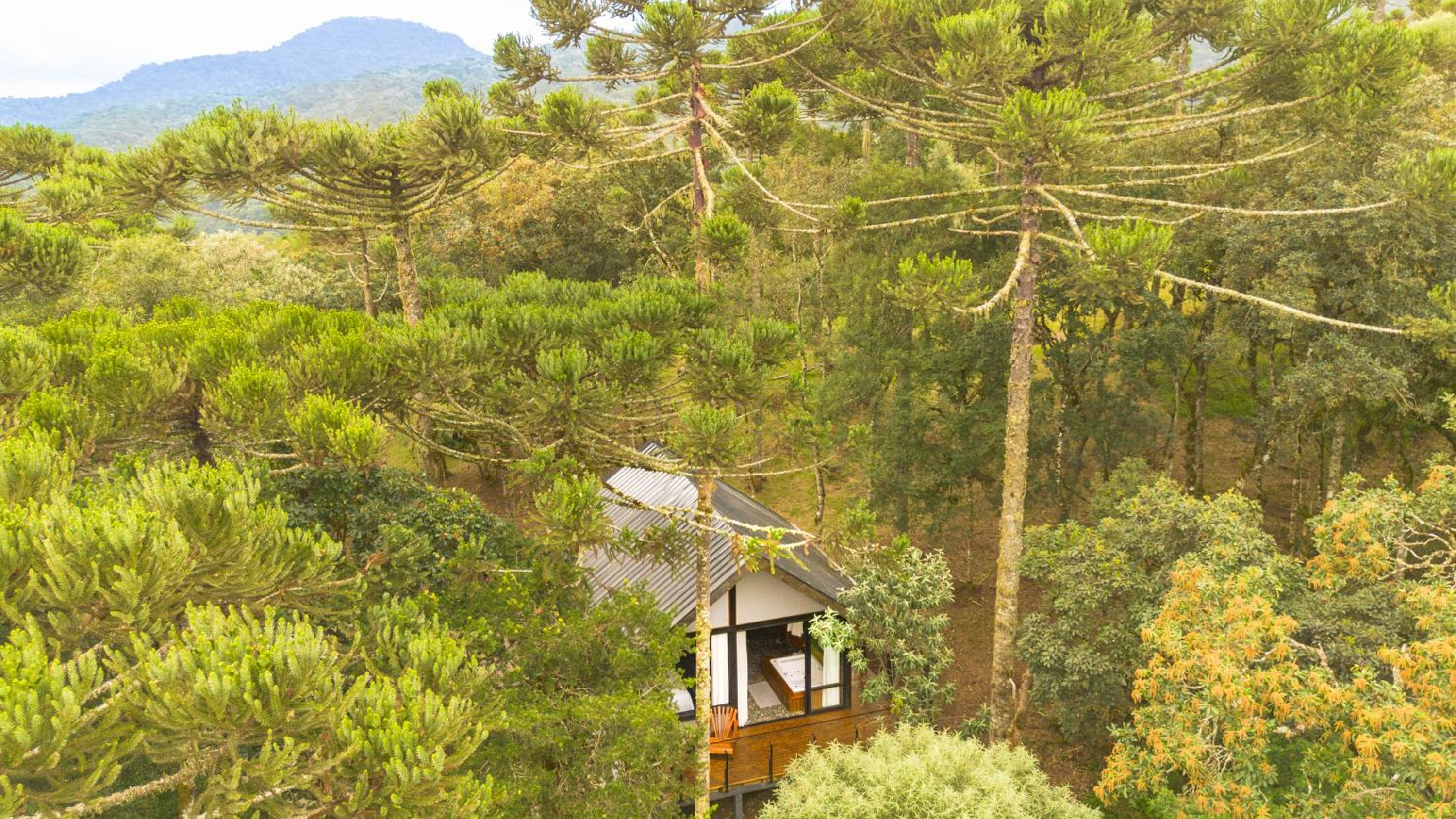 Chalet photo 1