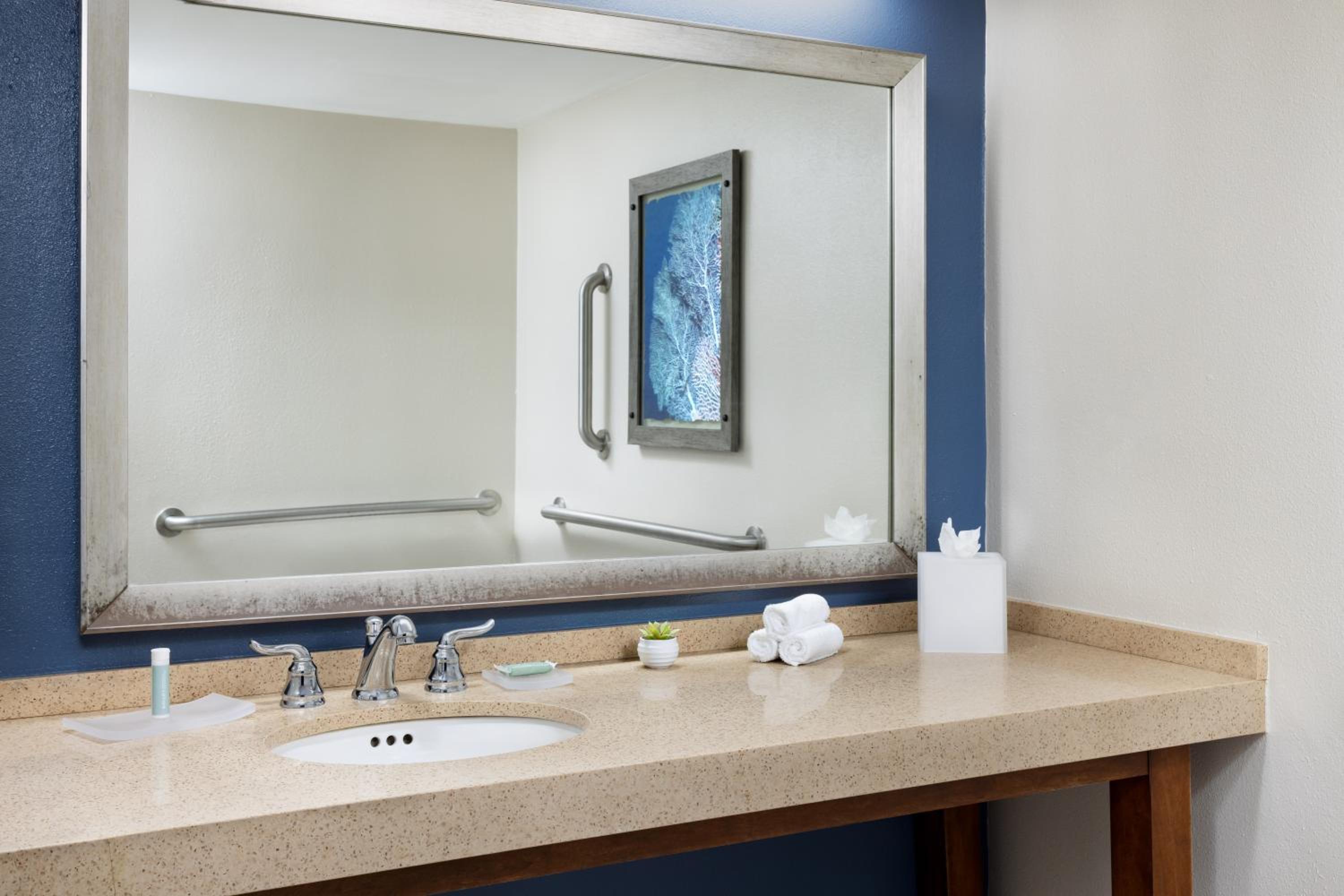 King Room with Garden View - Mobility Accessible with Tub
