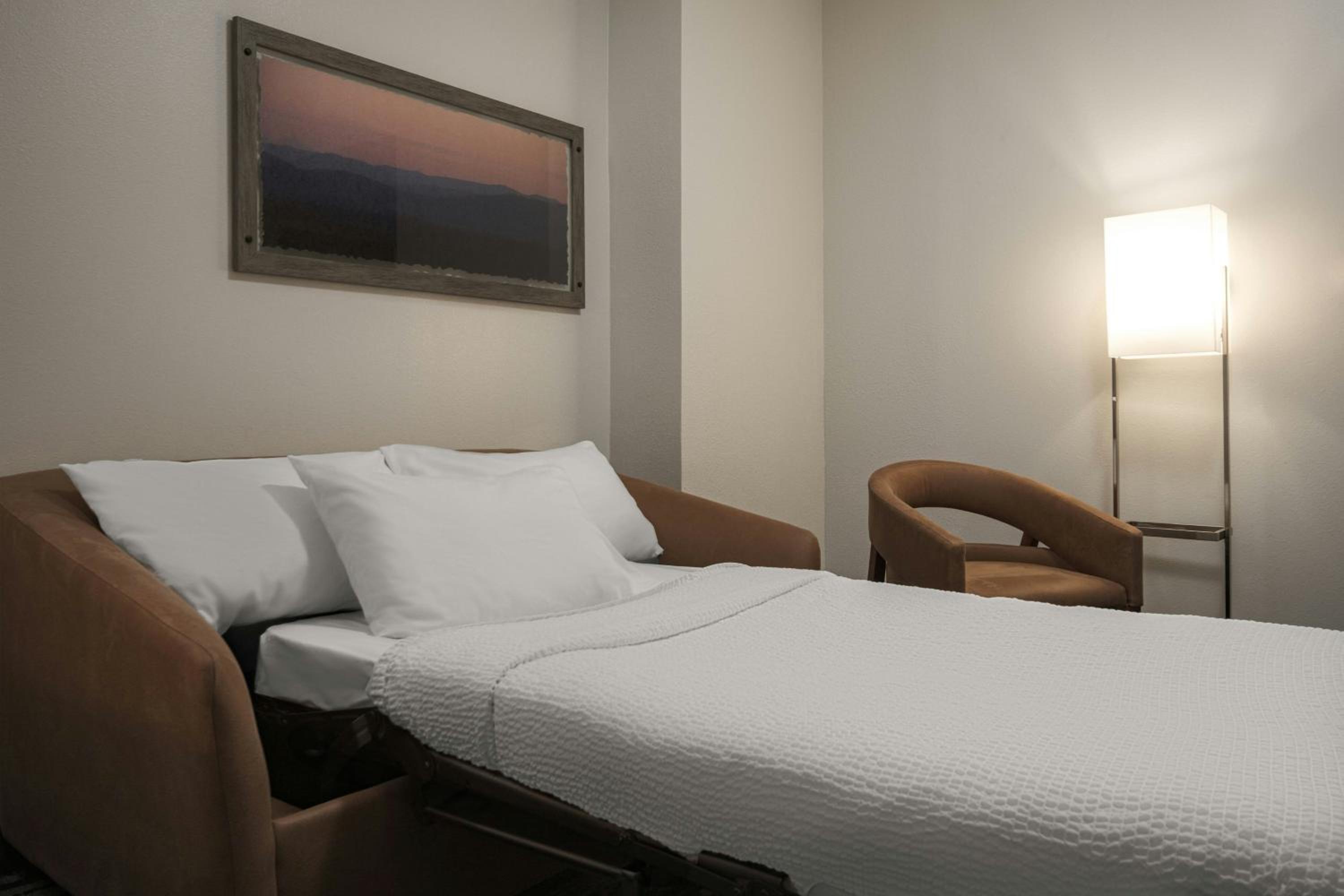 King Suite with Sofa Bed - Hearing Accessible - Photo 4