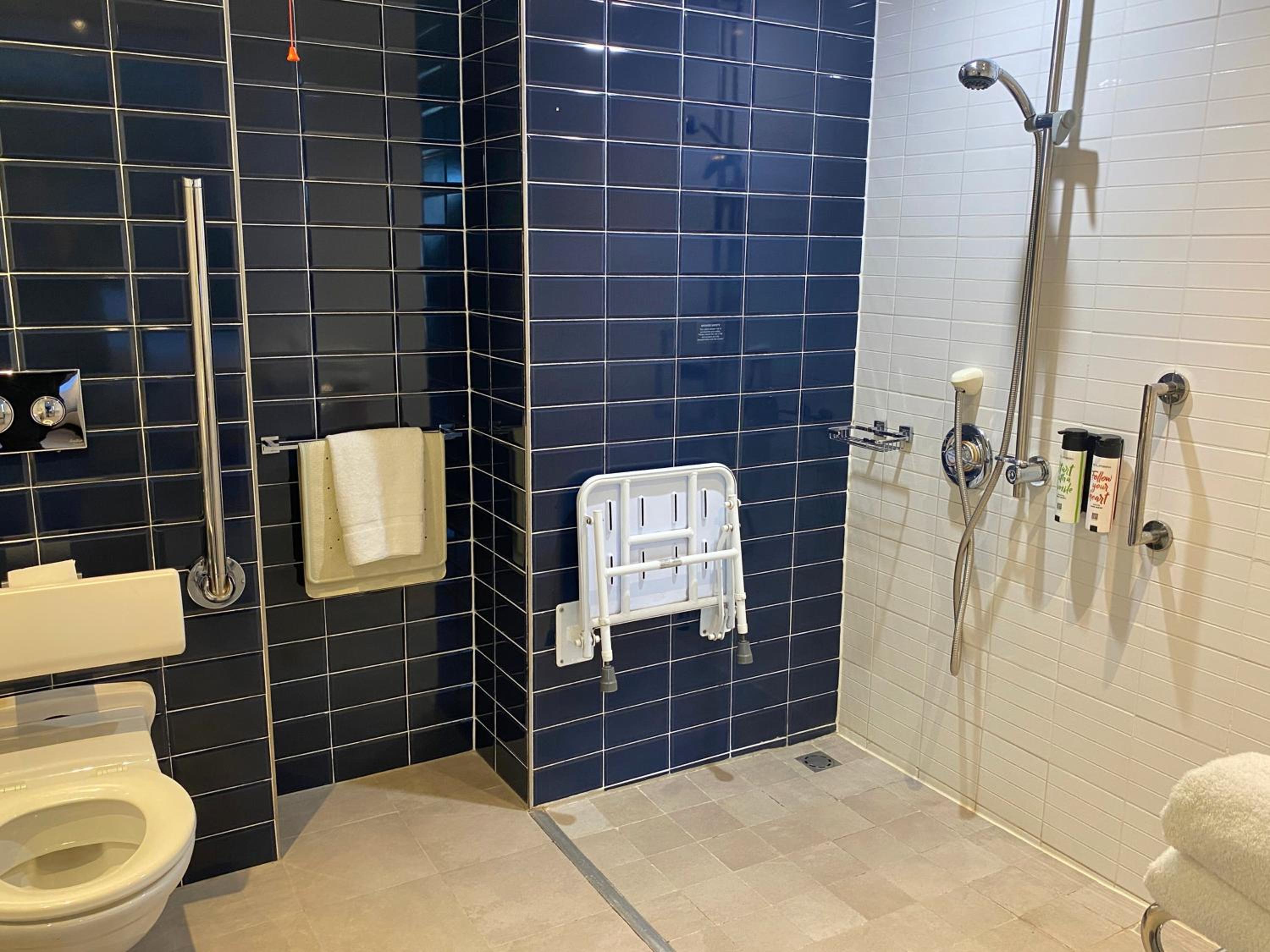 Superior Accessible King - Photo 5
