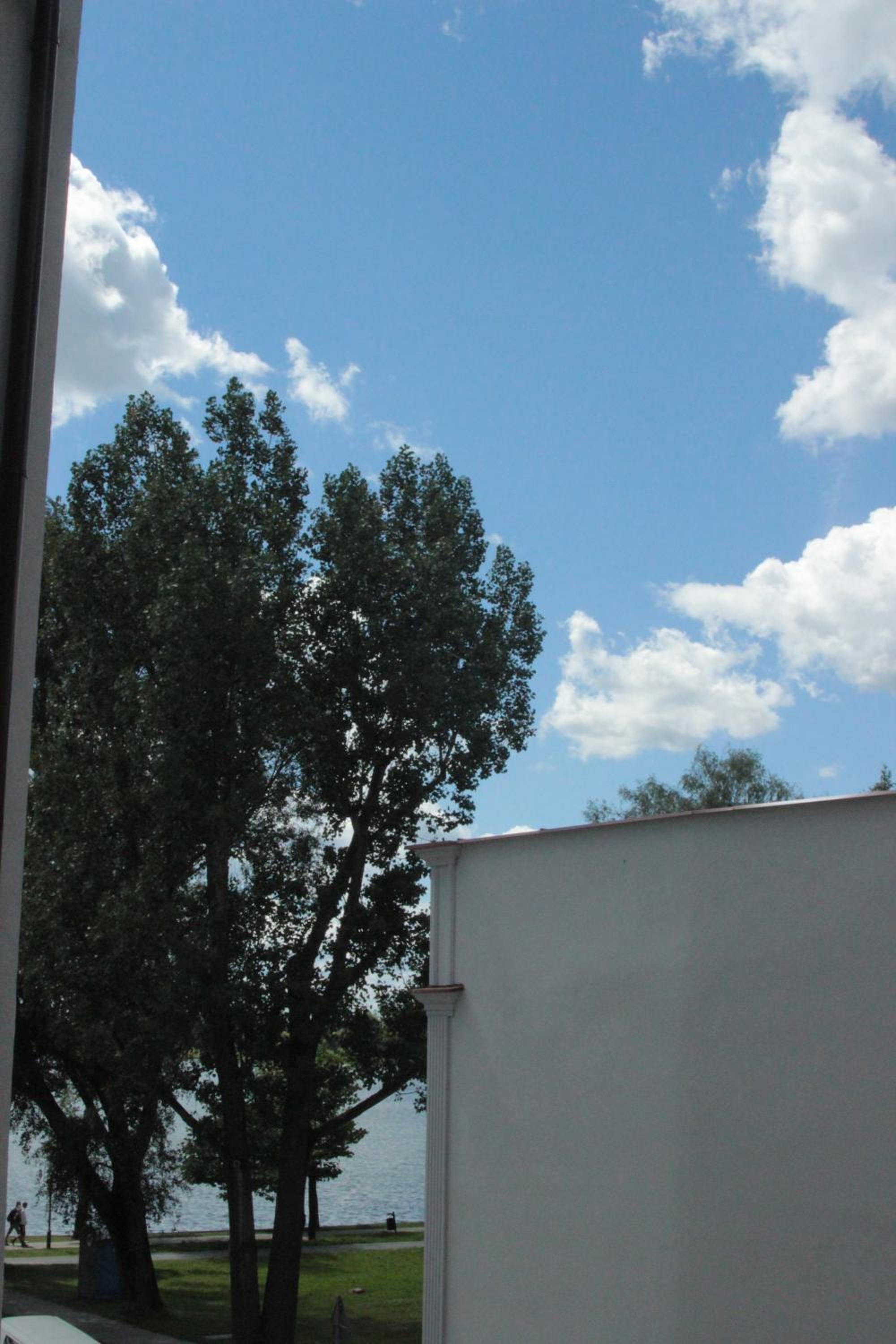 Double Room with Balcony photo 3