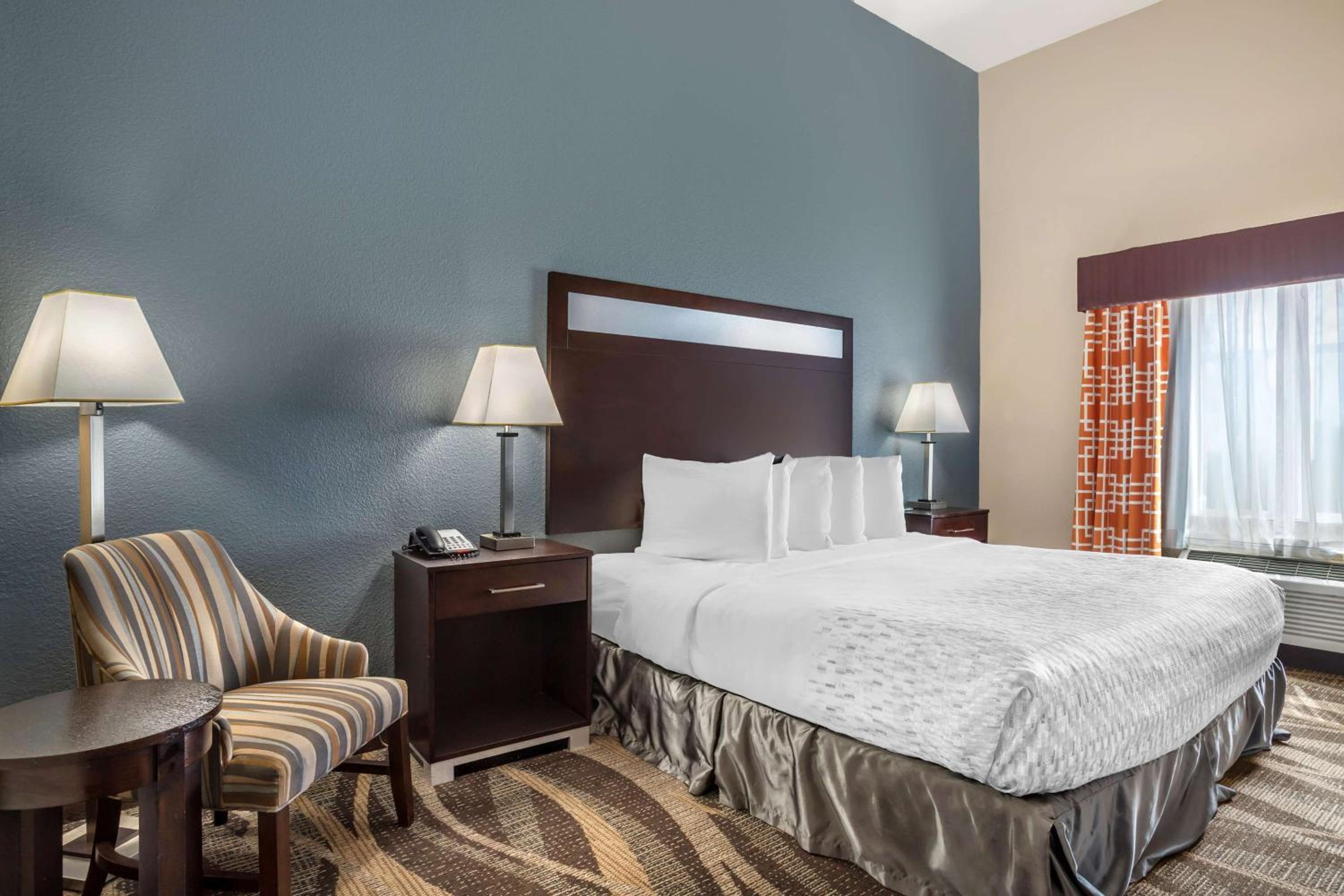 King Room - Pet-Friendly/Non-Smoking