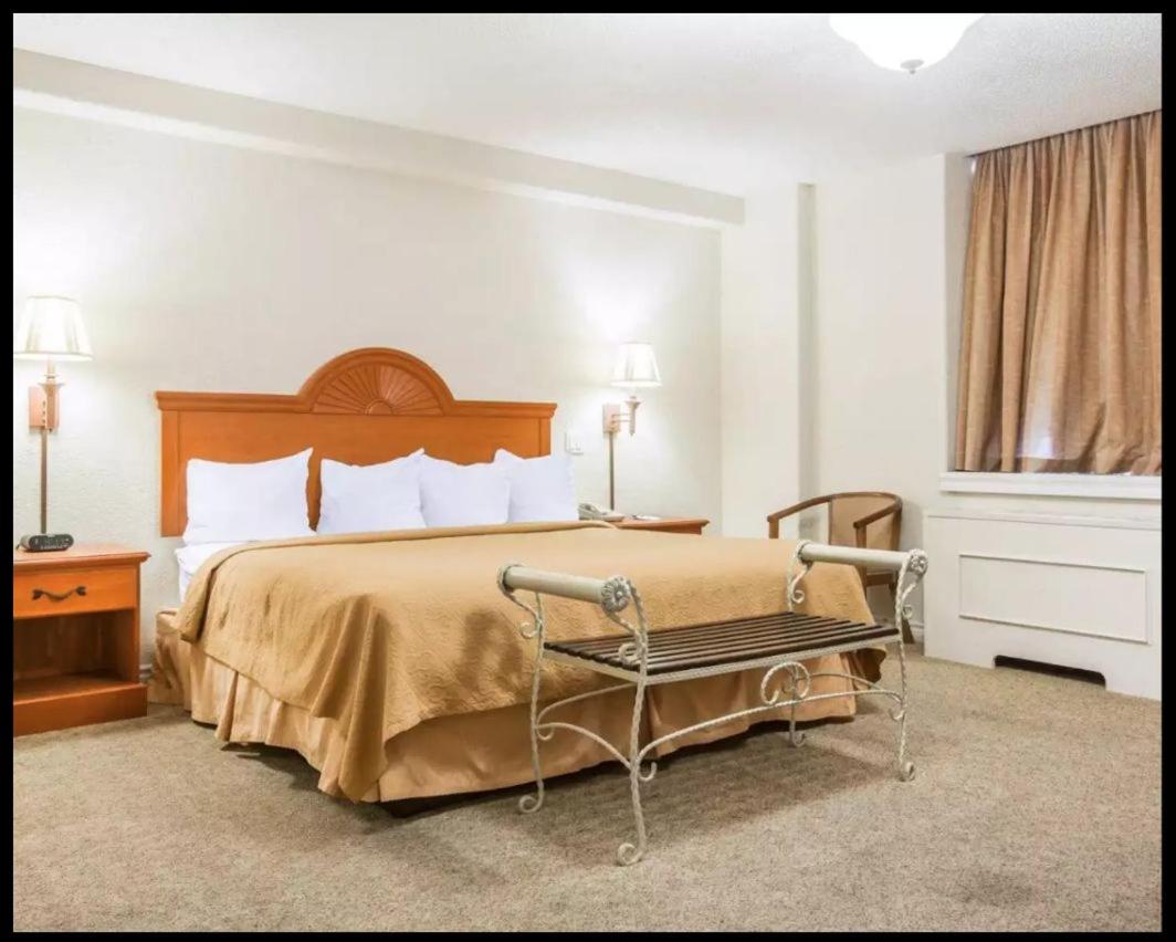 King Suite photo 2