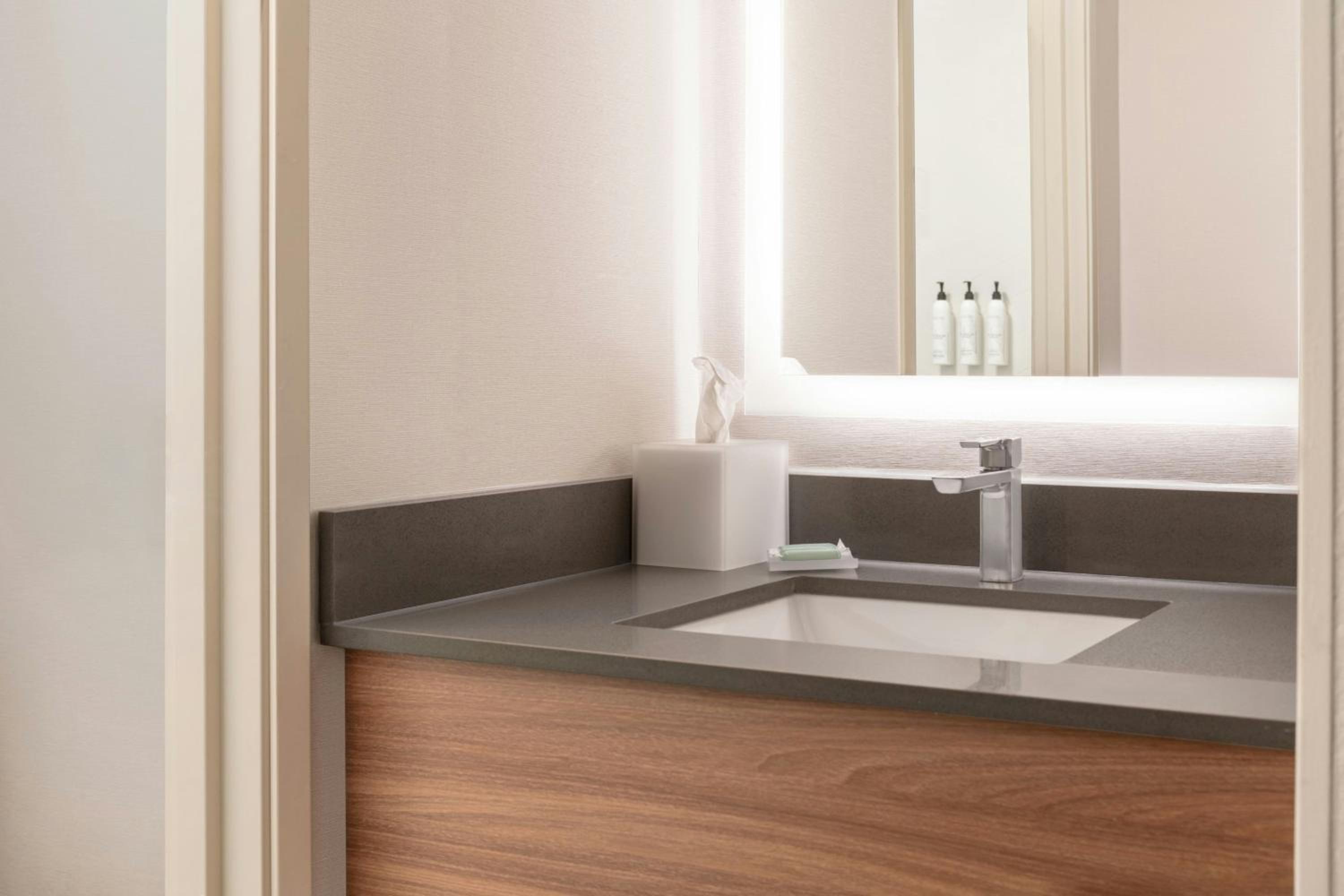 Executive King Suite wth Sofa Bed and Roll-In Shower - Mobility and Hearing Accessible photo 1