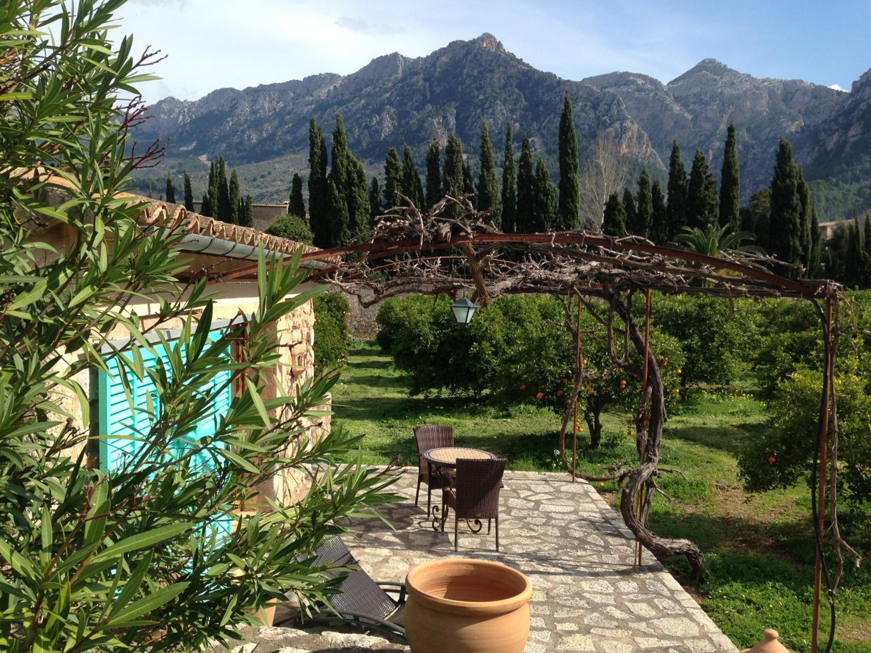 Double or Twin Room with Terrace photo 3
