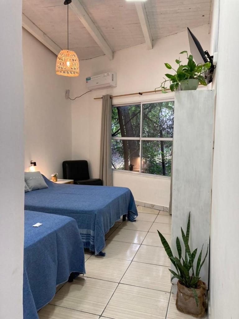 Double Room with Park View photo 2