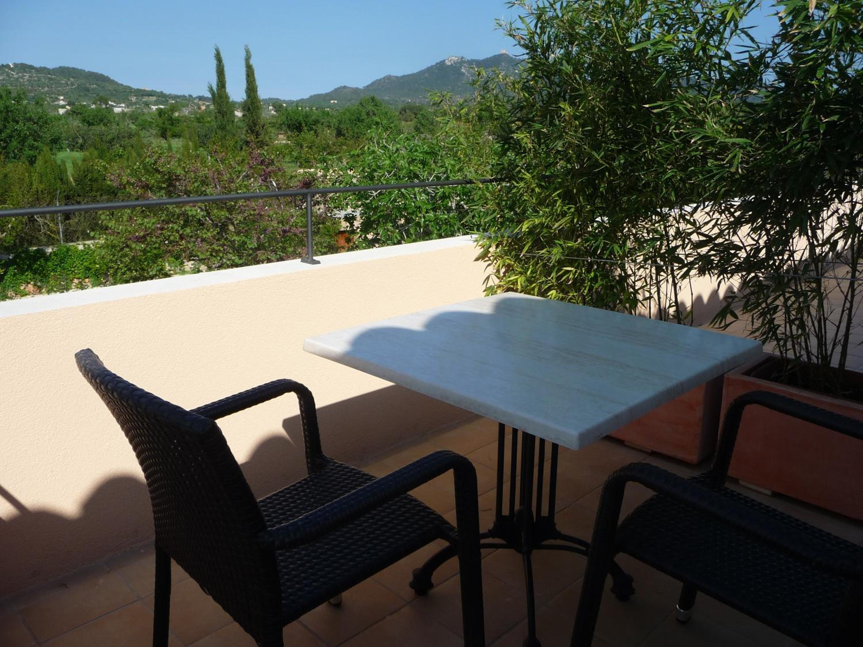 Apartment with Terrace photo 2