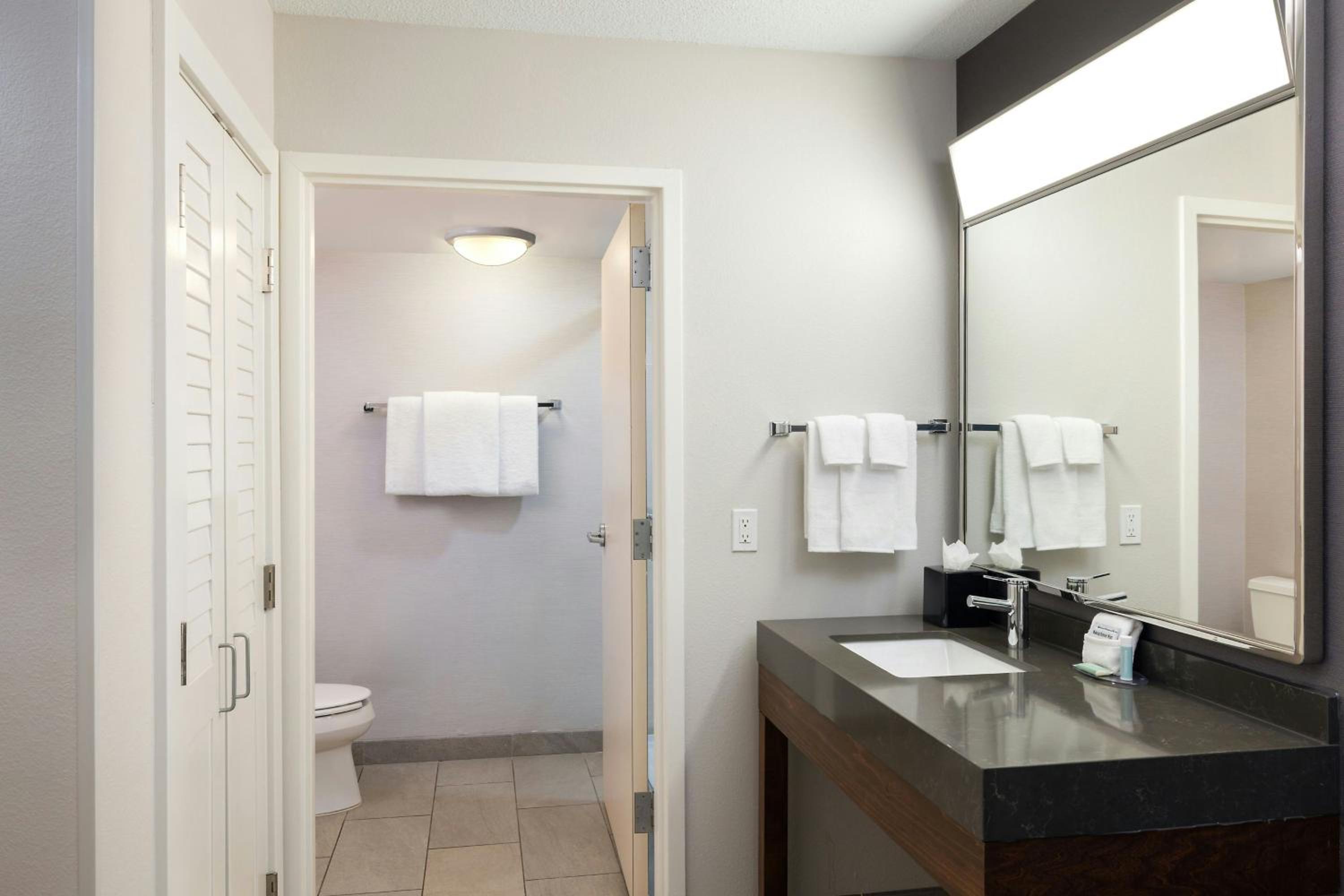 King Room with Roll-In Shower - Mobility Accessible - Photo 10