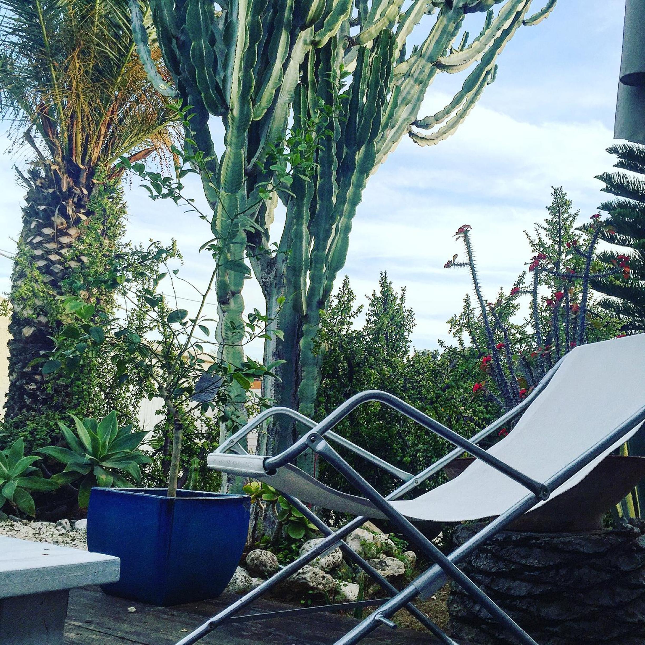 Deluxe Double Room with Terrace and Garden View