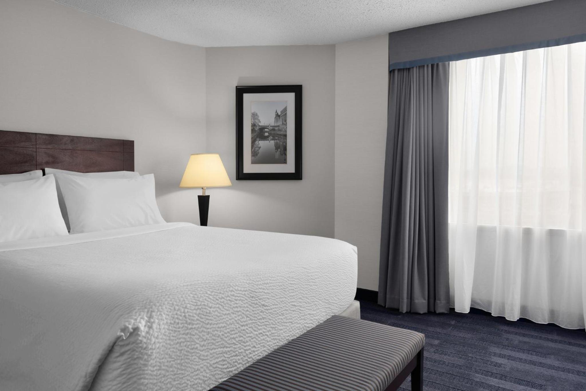 One-Bedroom King Suite with Sofa Bed