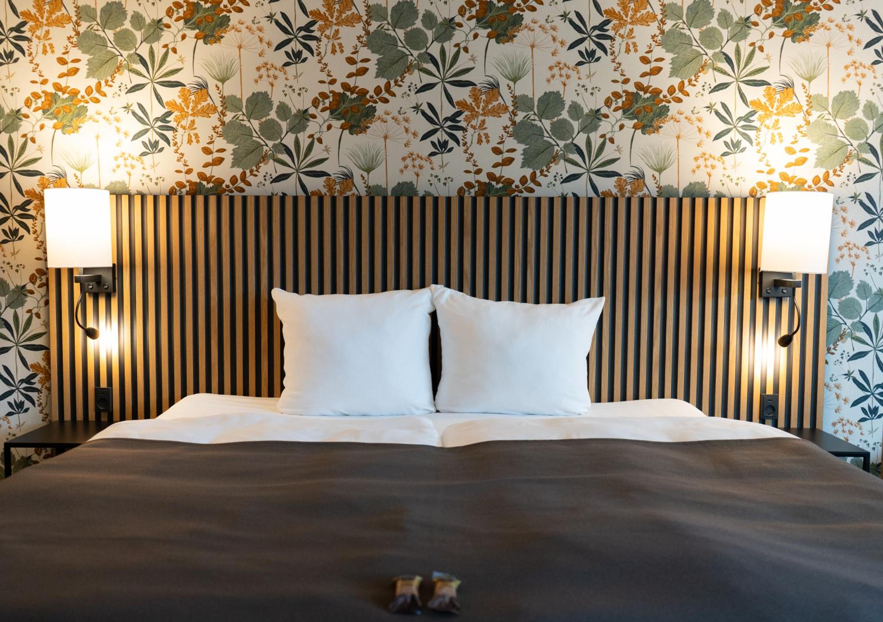 Junior King Suite photo 1