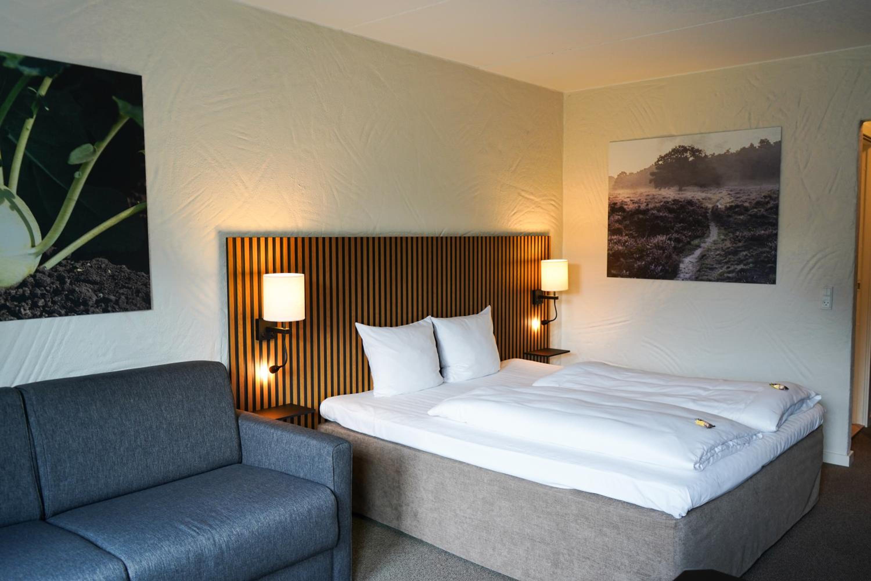 Superior King Room with Sofa Bed