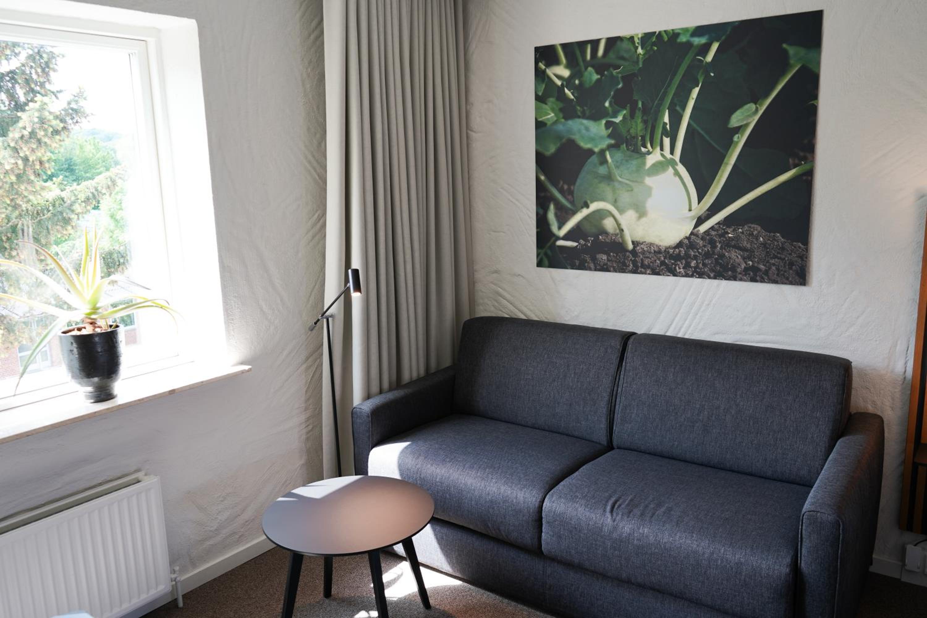 Superior King Room with Sofa Bed photo 2