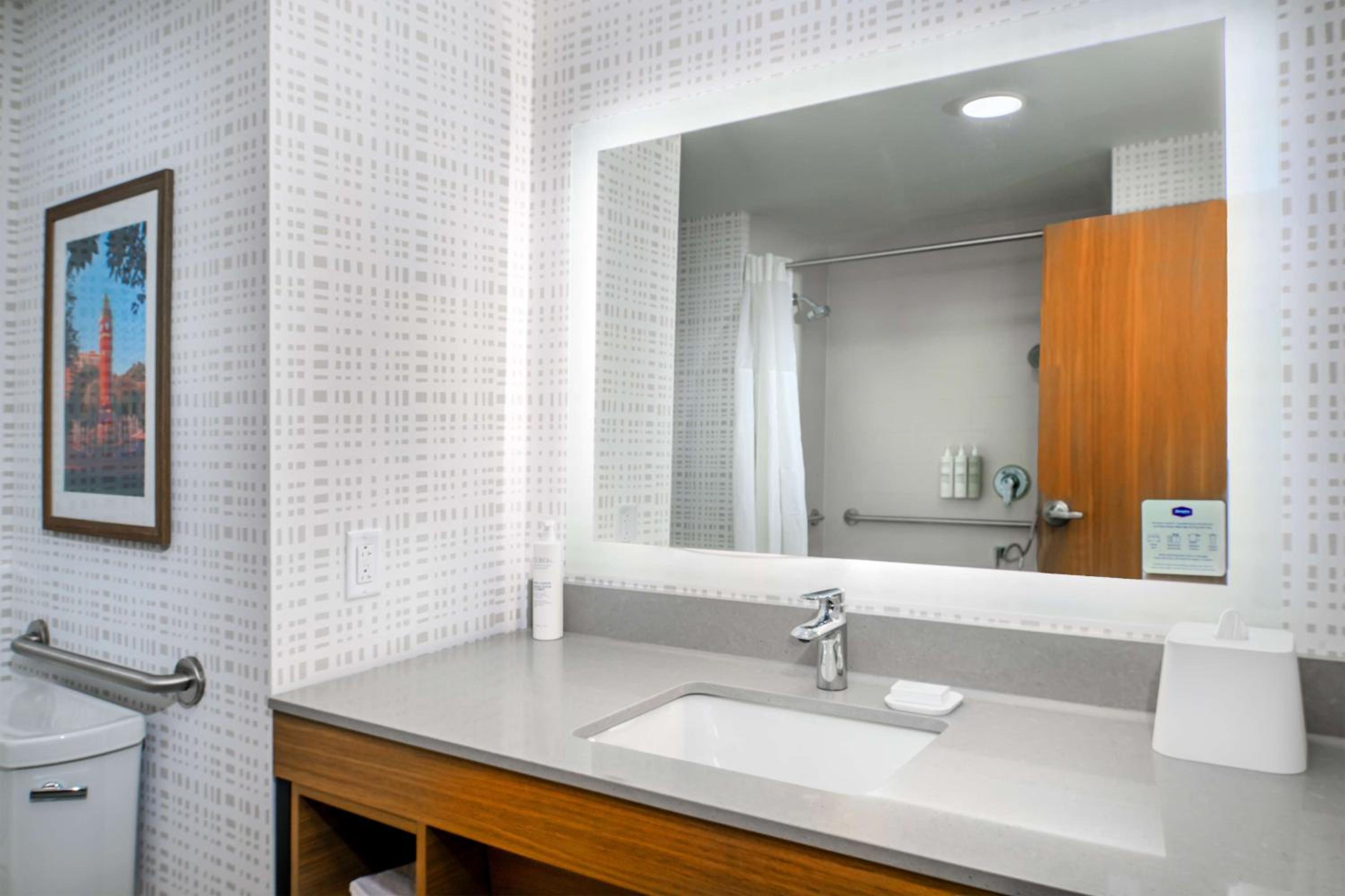King Room with One King Bed and Transfer Shower - Mobility/Hearing Accessible - Photo 4