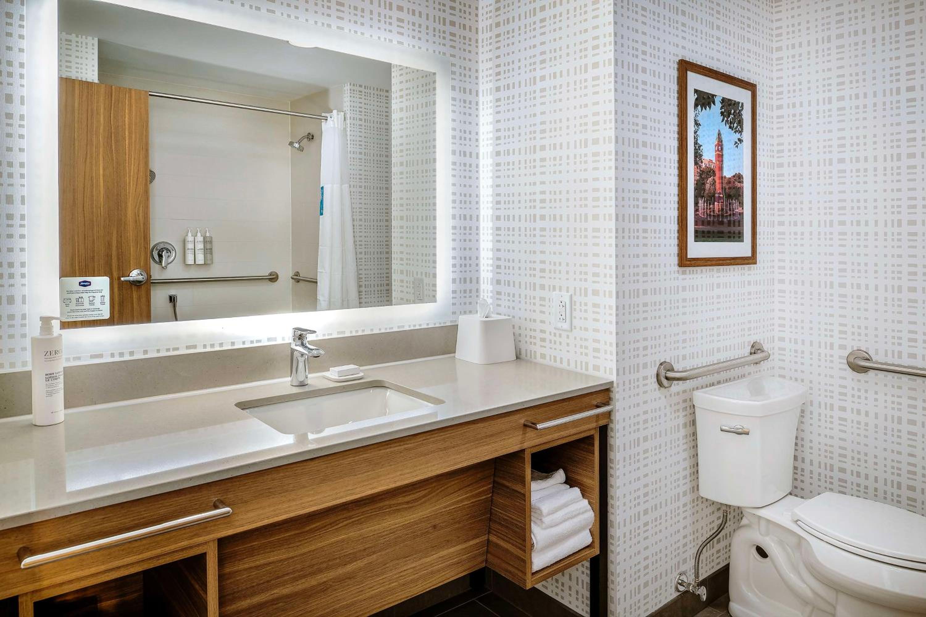 King Room with One King Bed and Transfer Shower - Mobility/Hearing Accessible - Photo 3