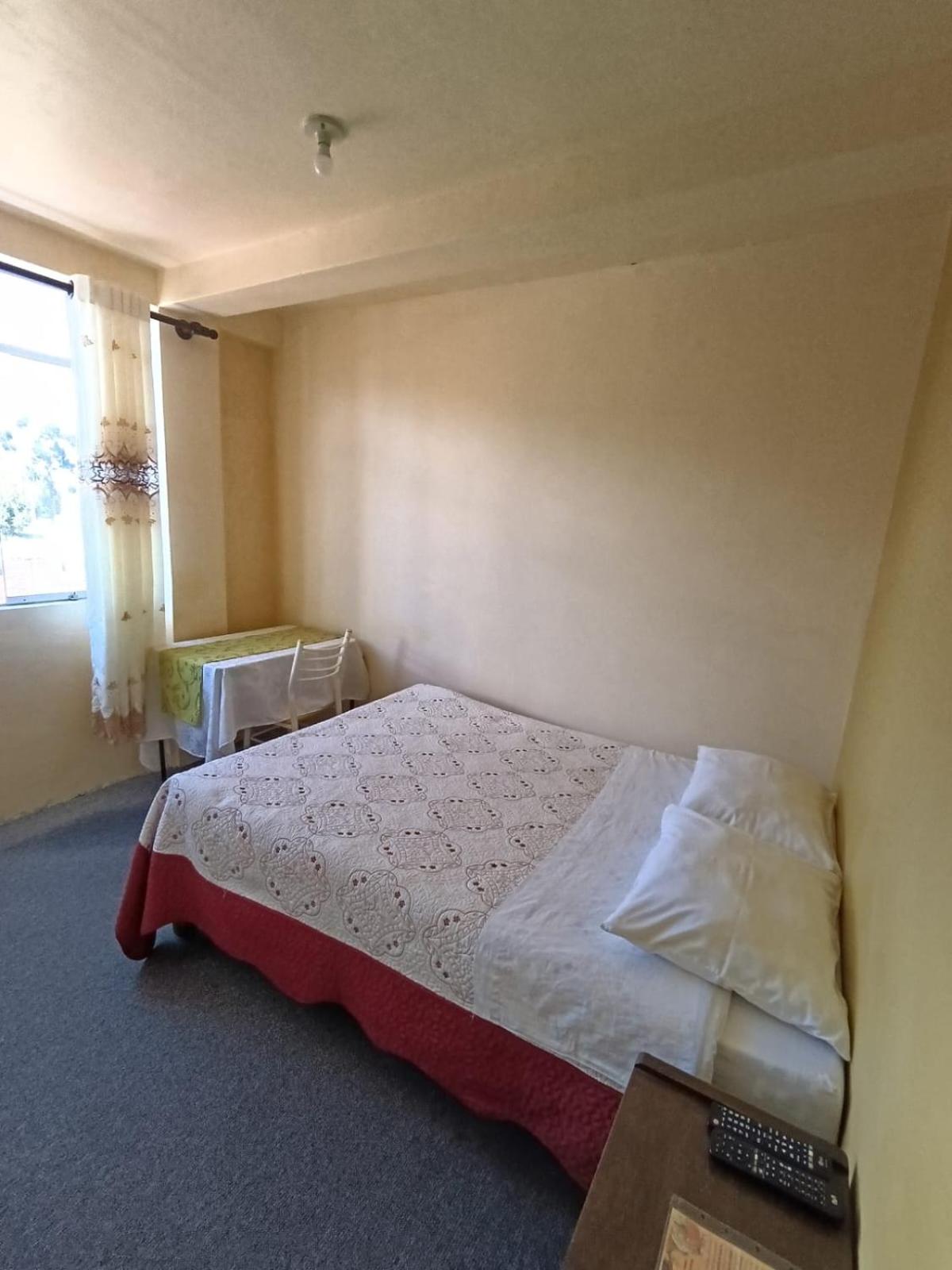 Large Single Room photo 2