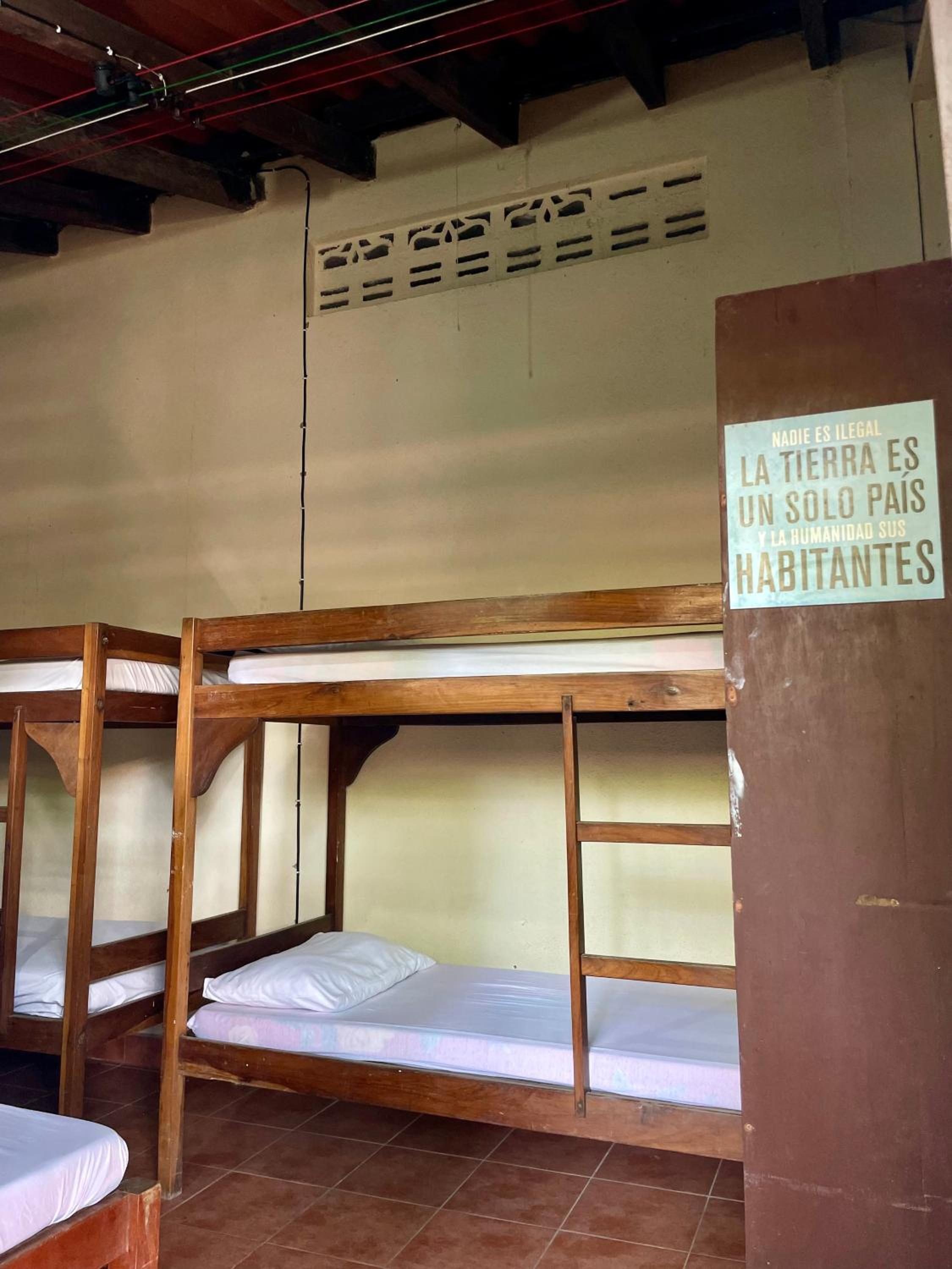 Bunk Bed in Mixed Dormitory Room photo 3