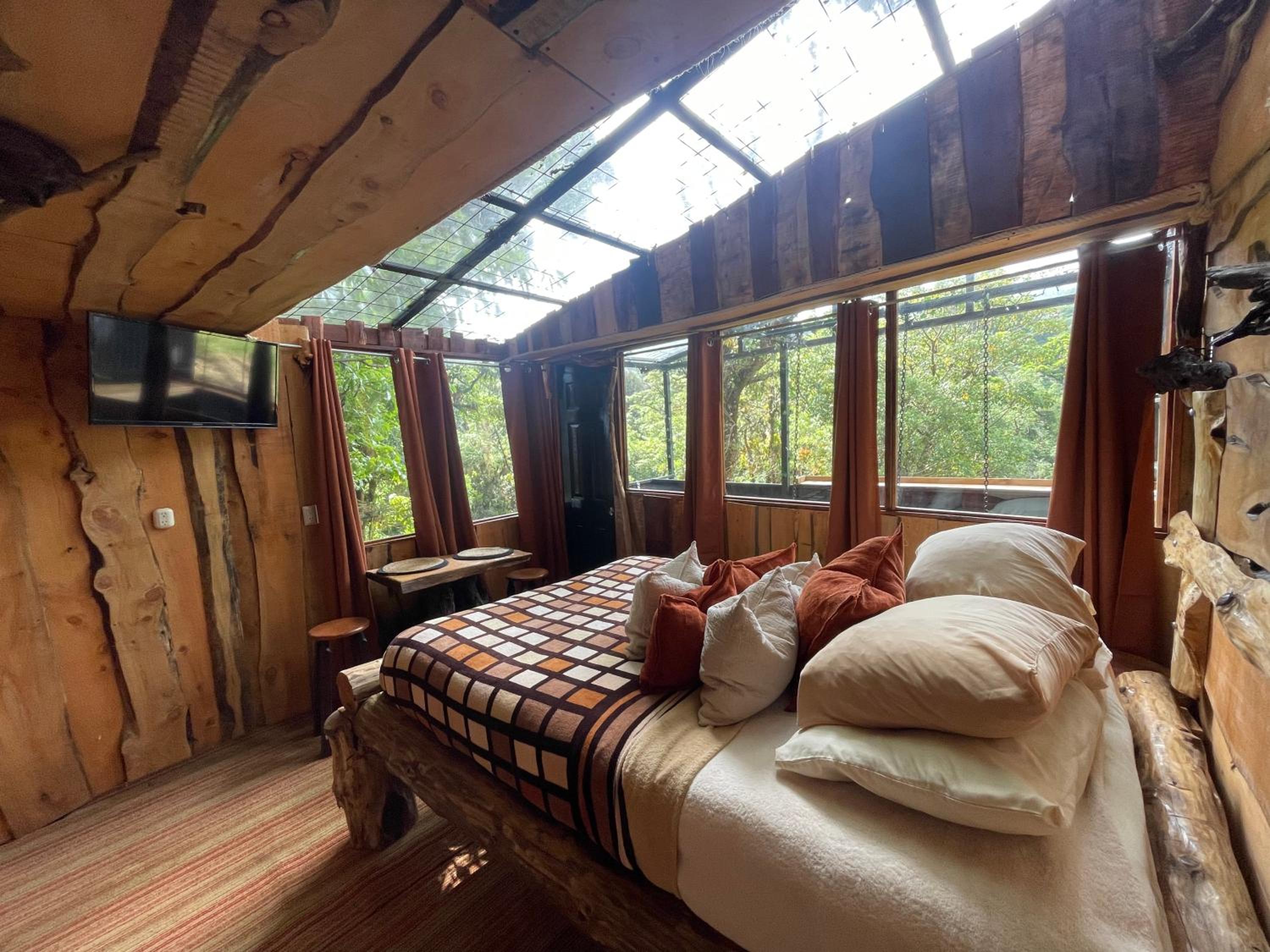 Suite with Terrace photo 3