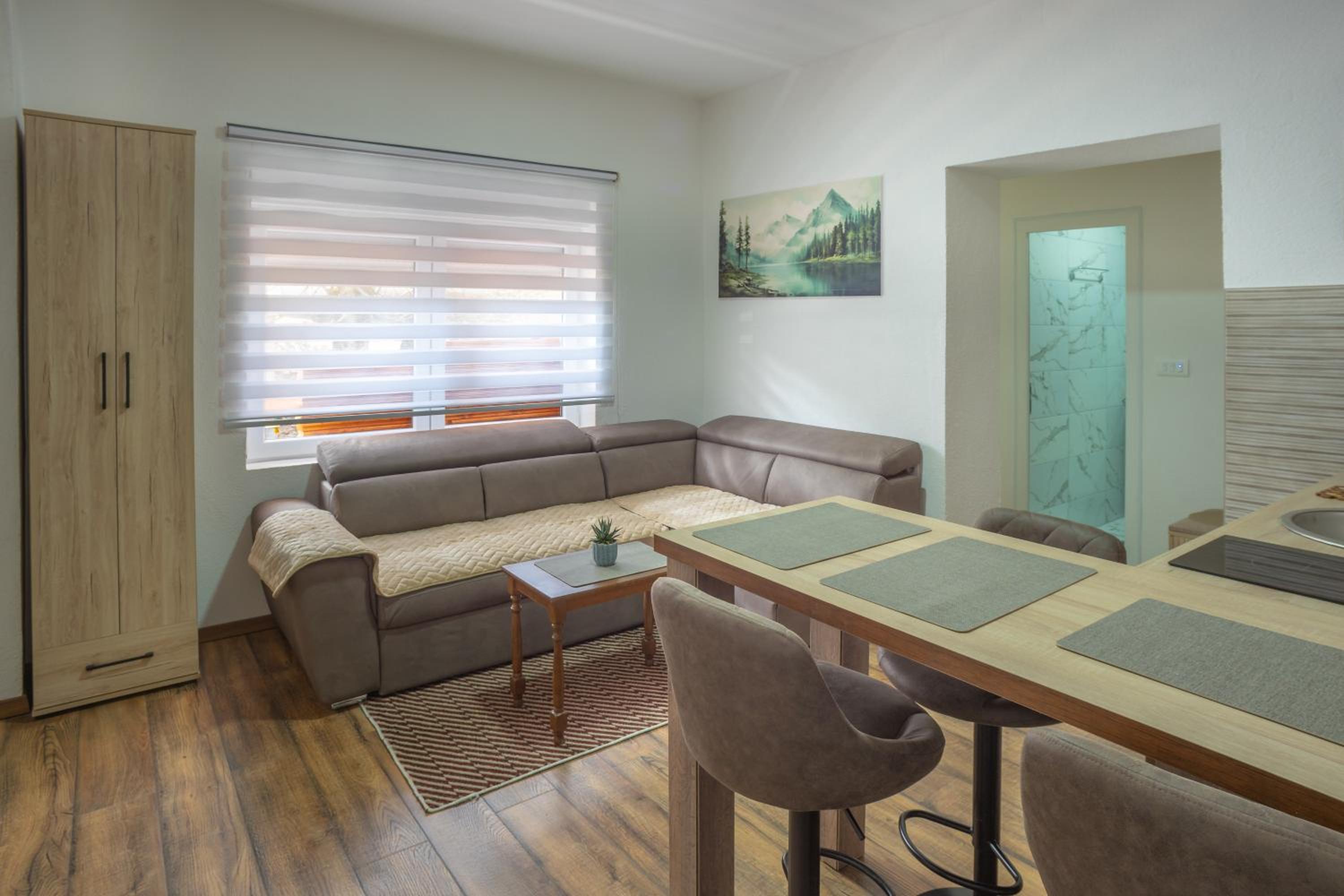 One-Bedroom Apartment with Terrace photo 2