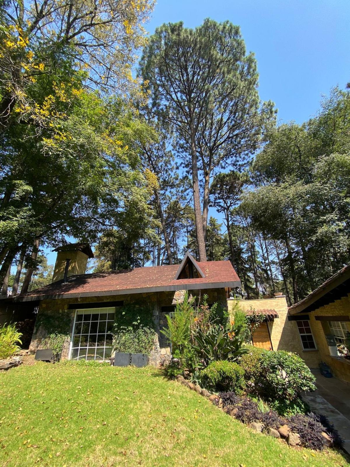 Villa photo 3