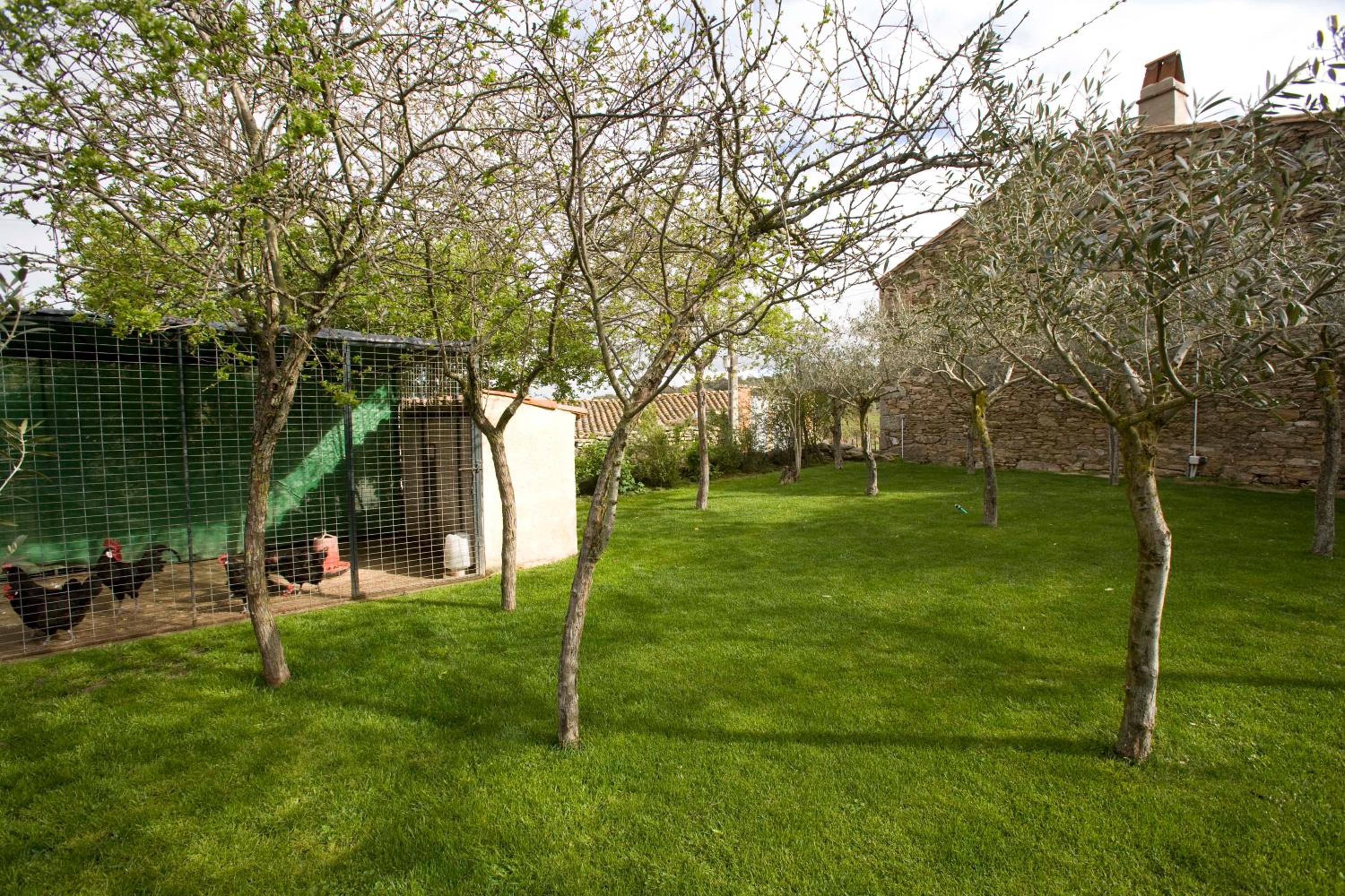 Three-Bedroom House photo 2