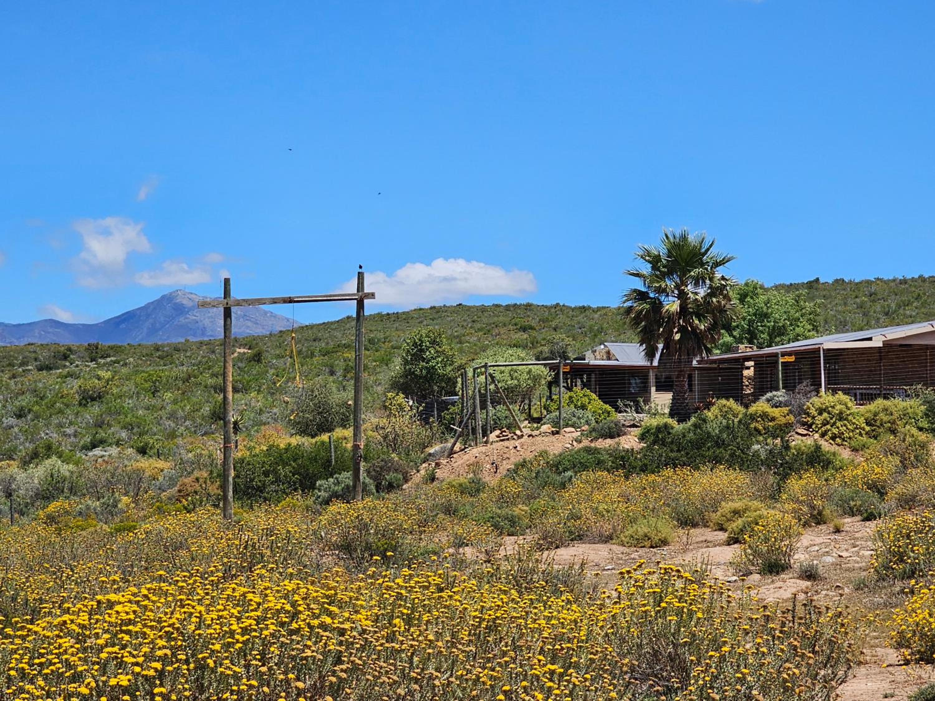 Three-Bedroom House - Photo 15