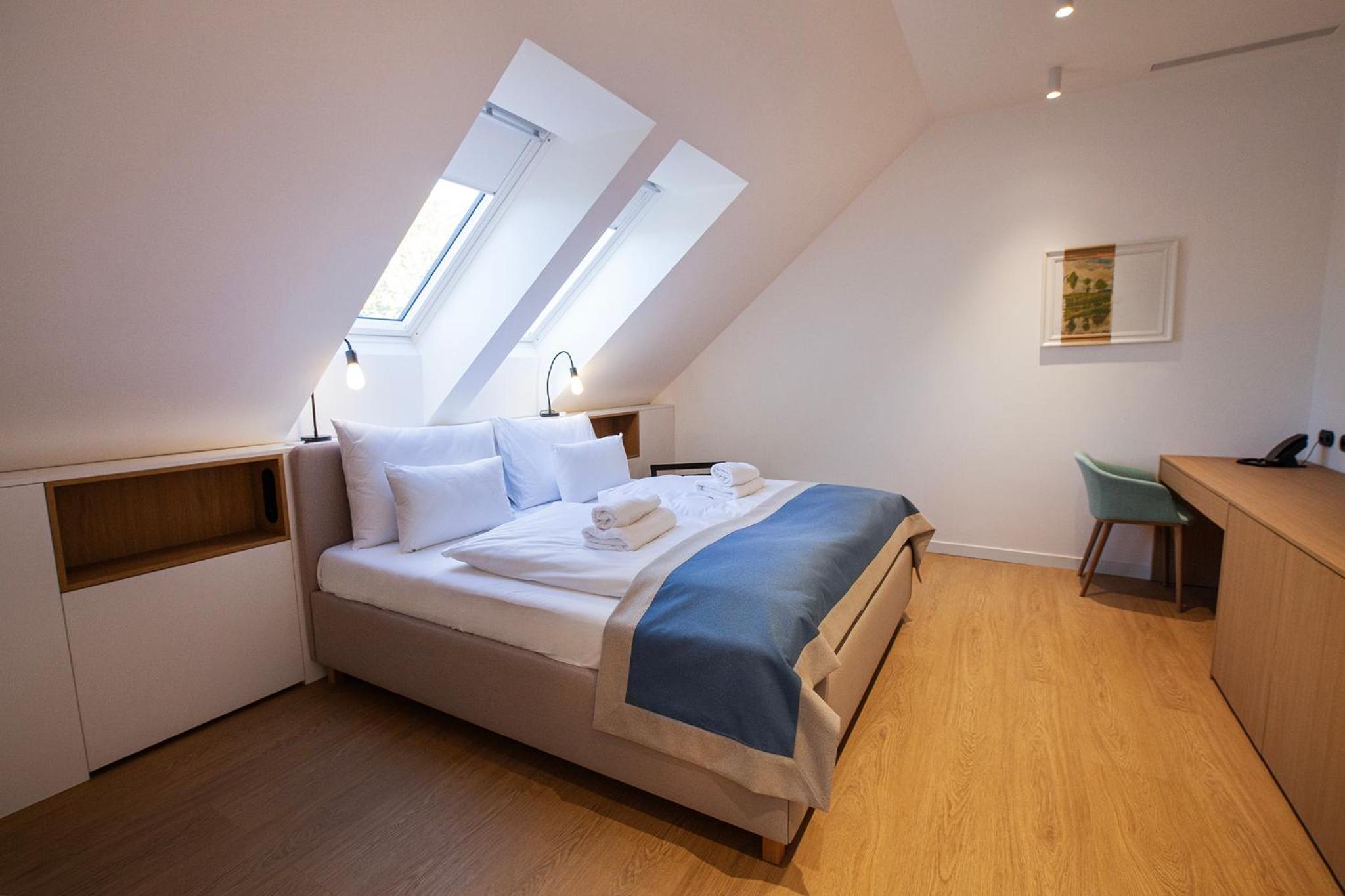 Deluxe Double Room photo 3